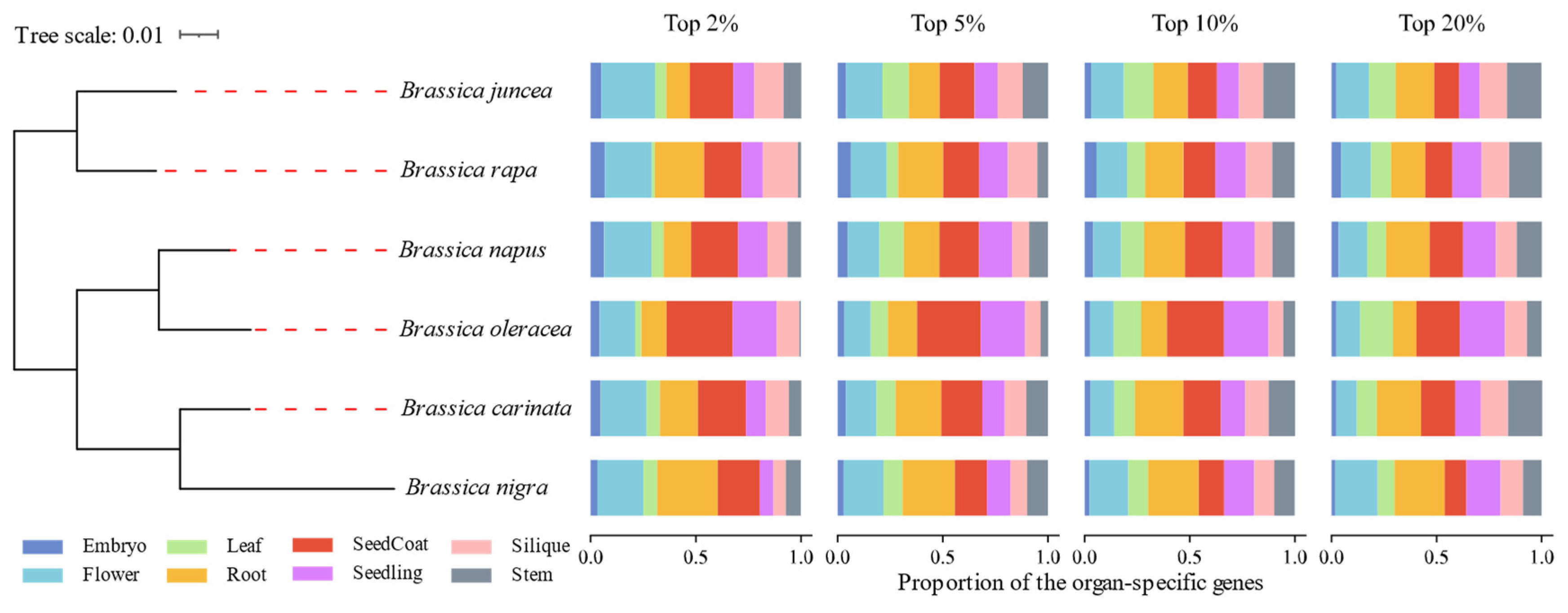 Horticulturae 11 00427 g002