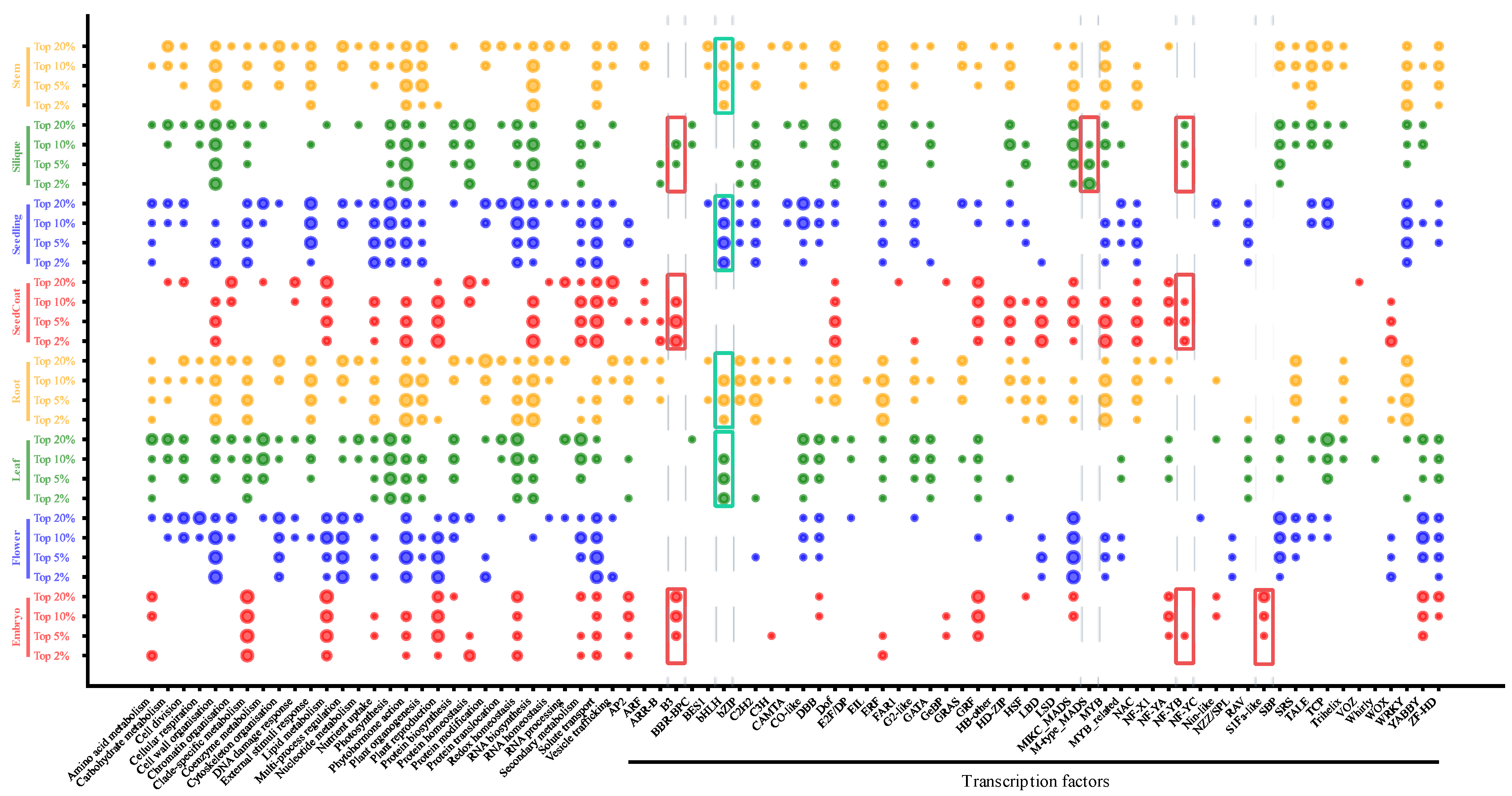 Horticulturae 11 00427 g005
