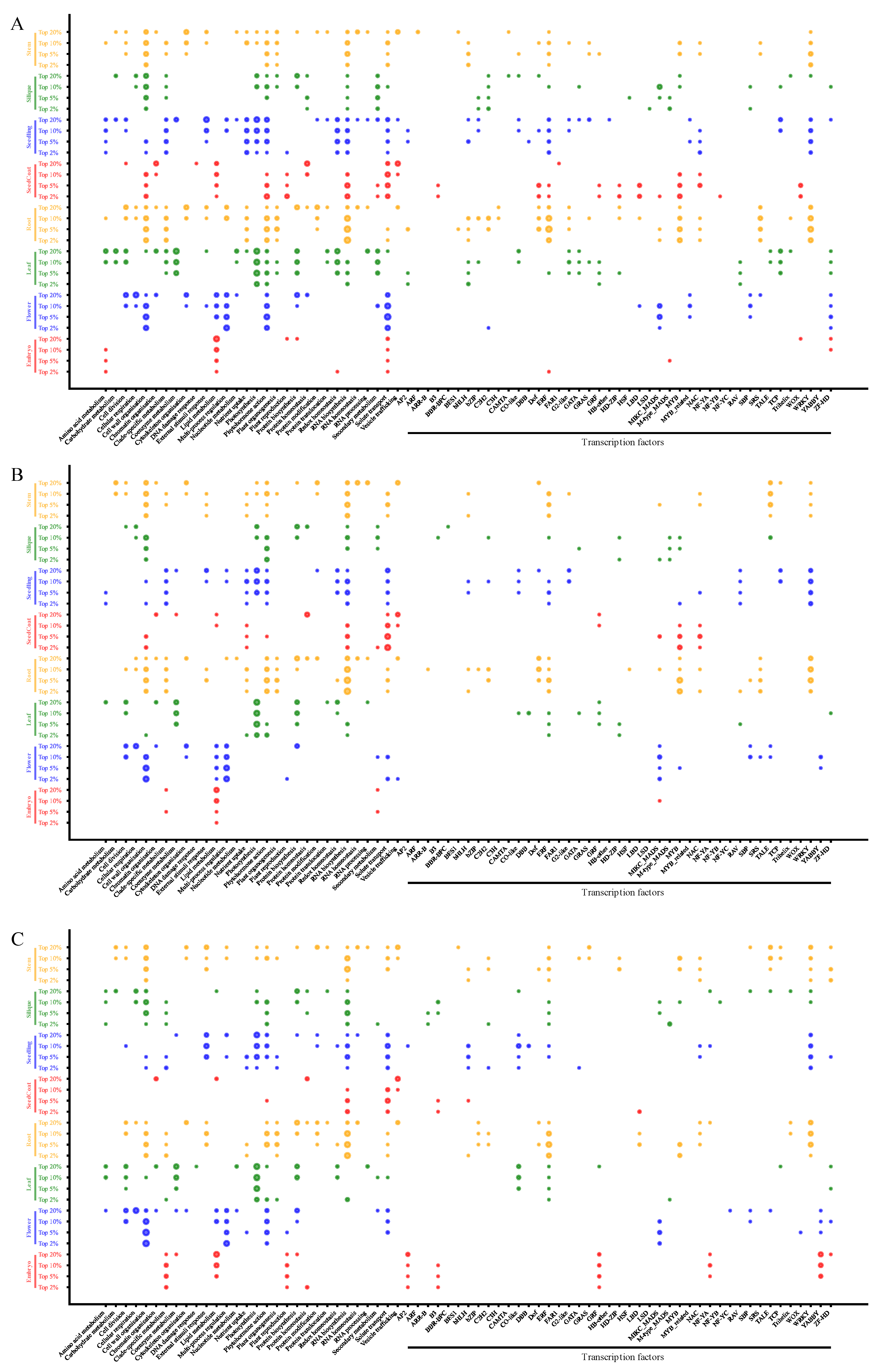 Horticulturae 11 00427 g006
