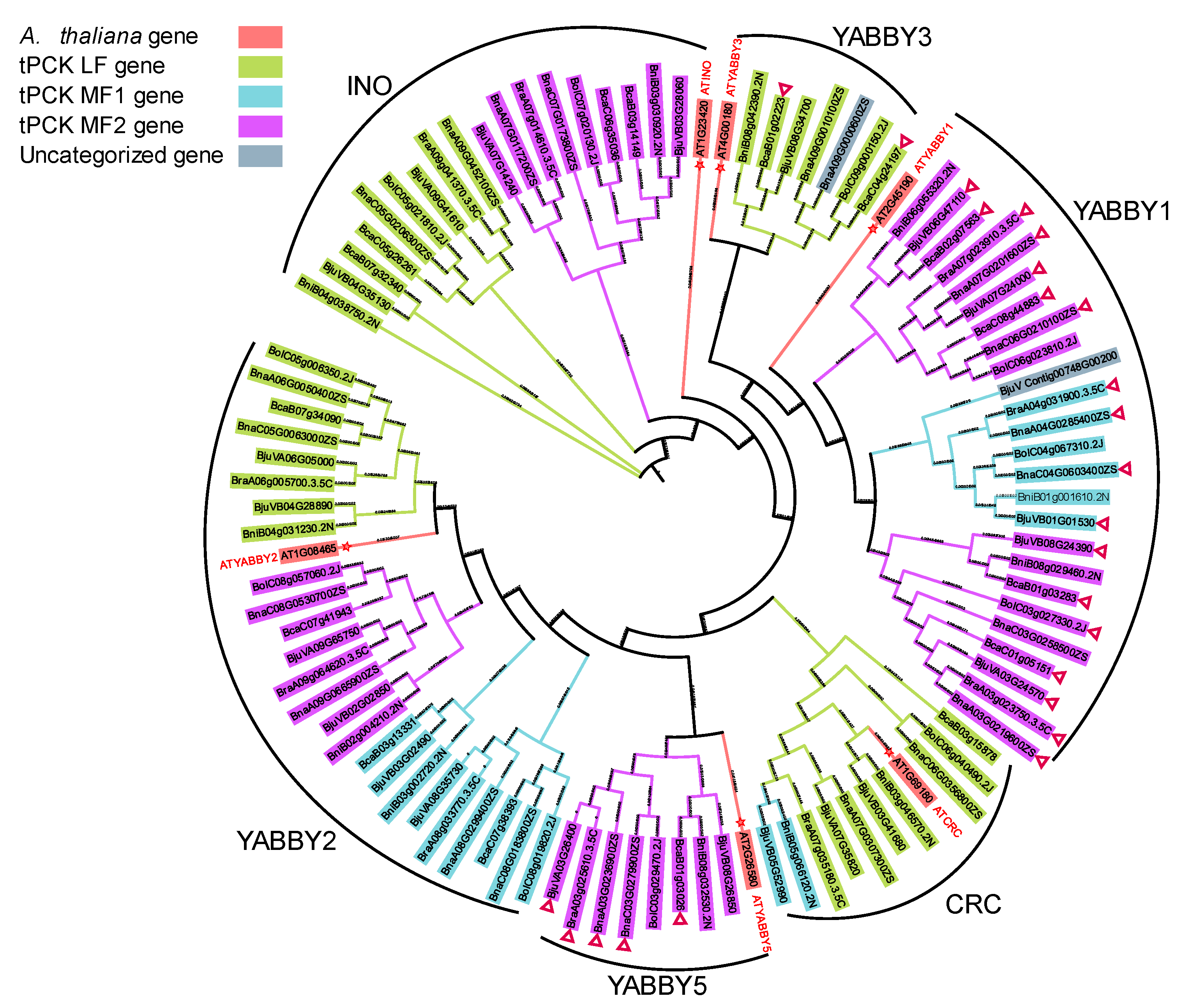 Horticulturae 11 00427 g007