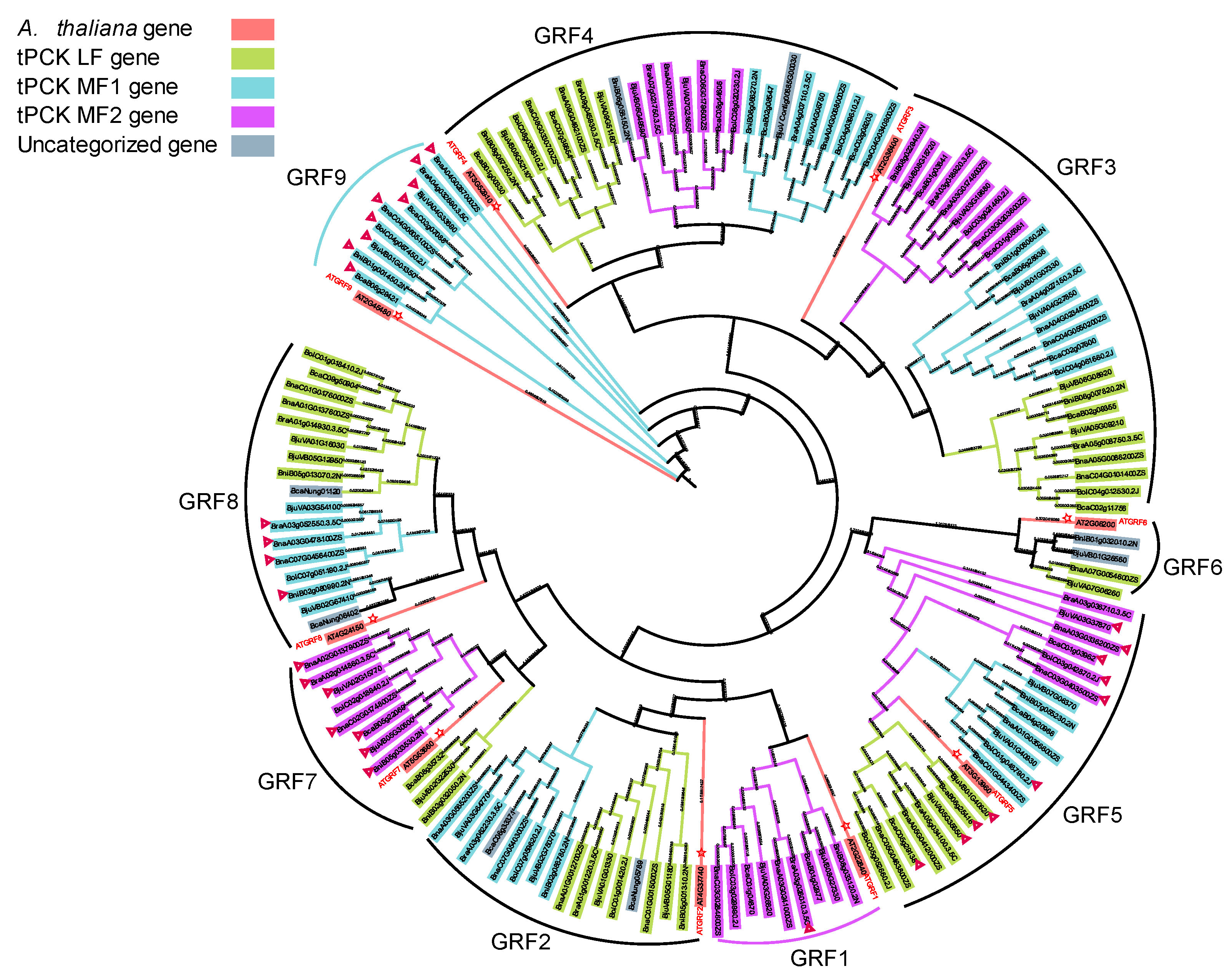 Horticulturae 11 00427 g008