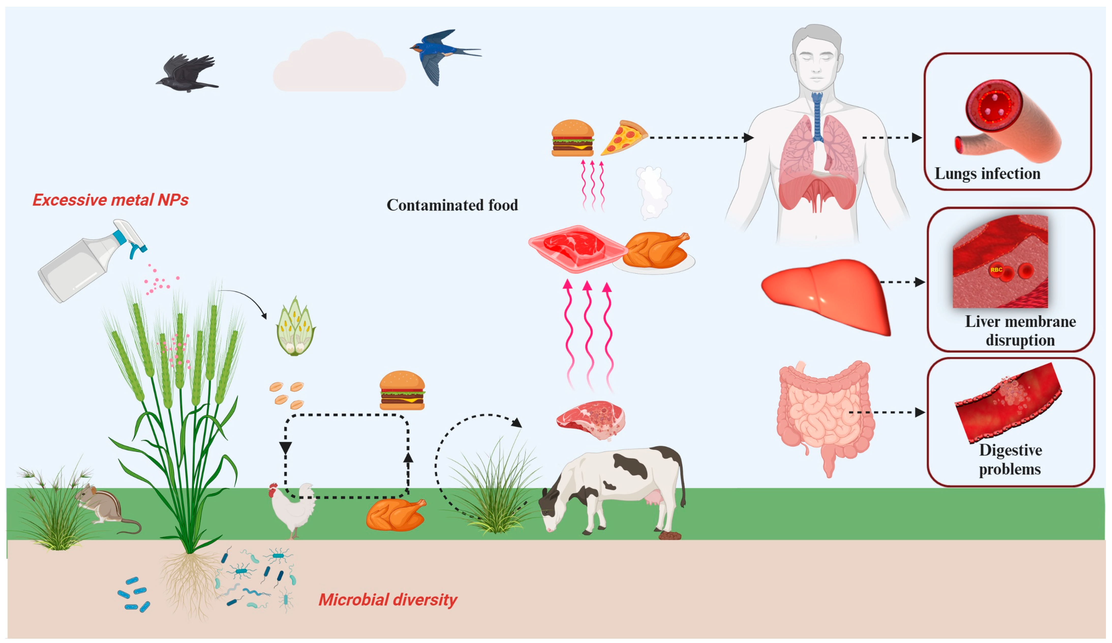 Horticulturae 11 00442 g004