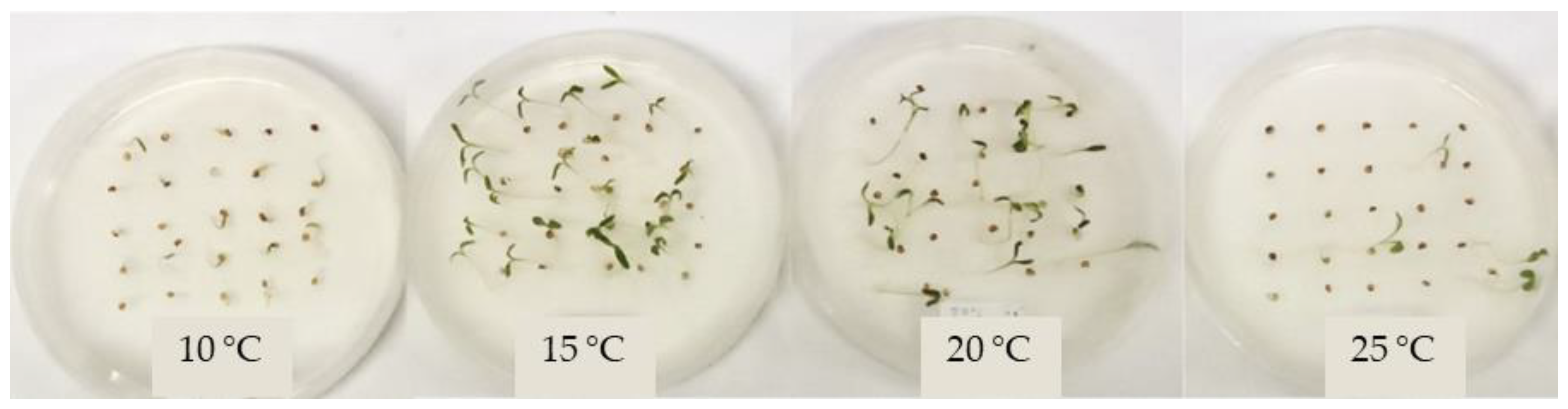 Horticulturae 11 00443 g003 Horticulturae 11 00443 g003