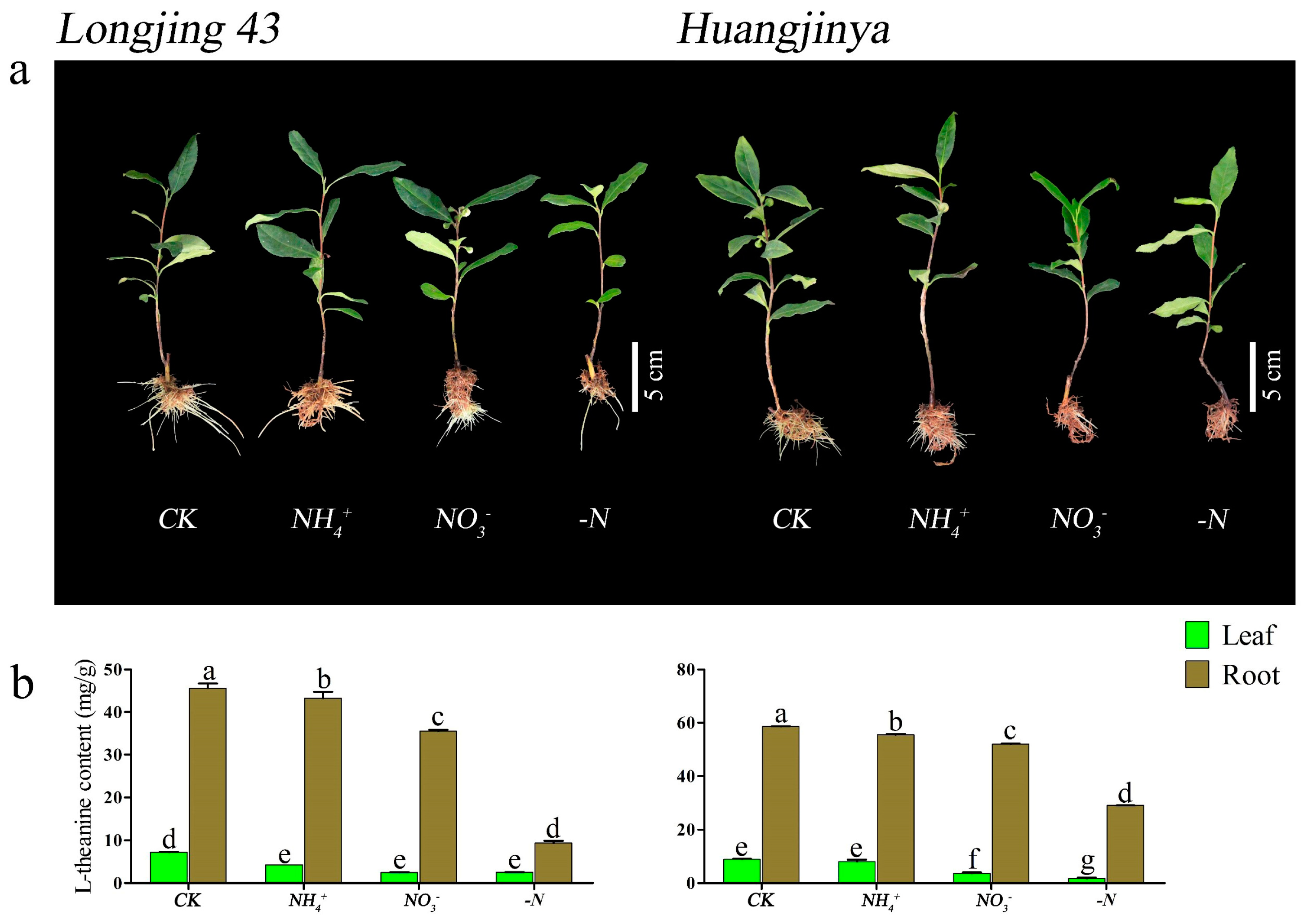 Horticulturae 11 00444 g003