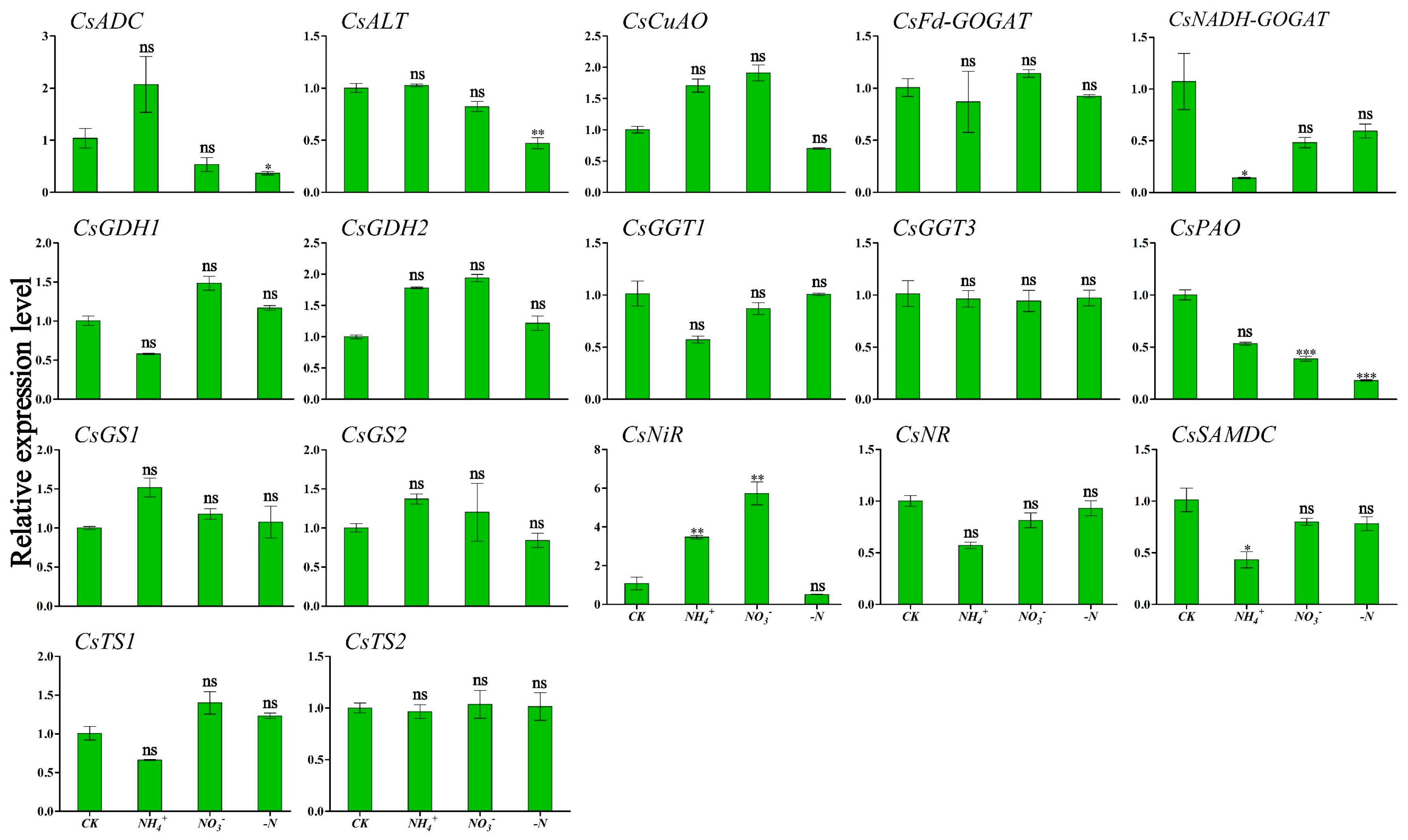 Horticulturae 11 00444 g006
