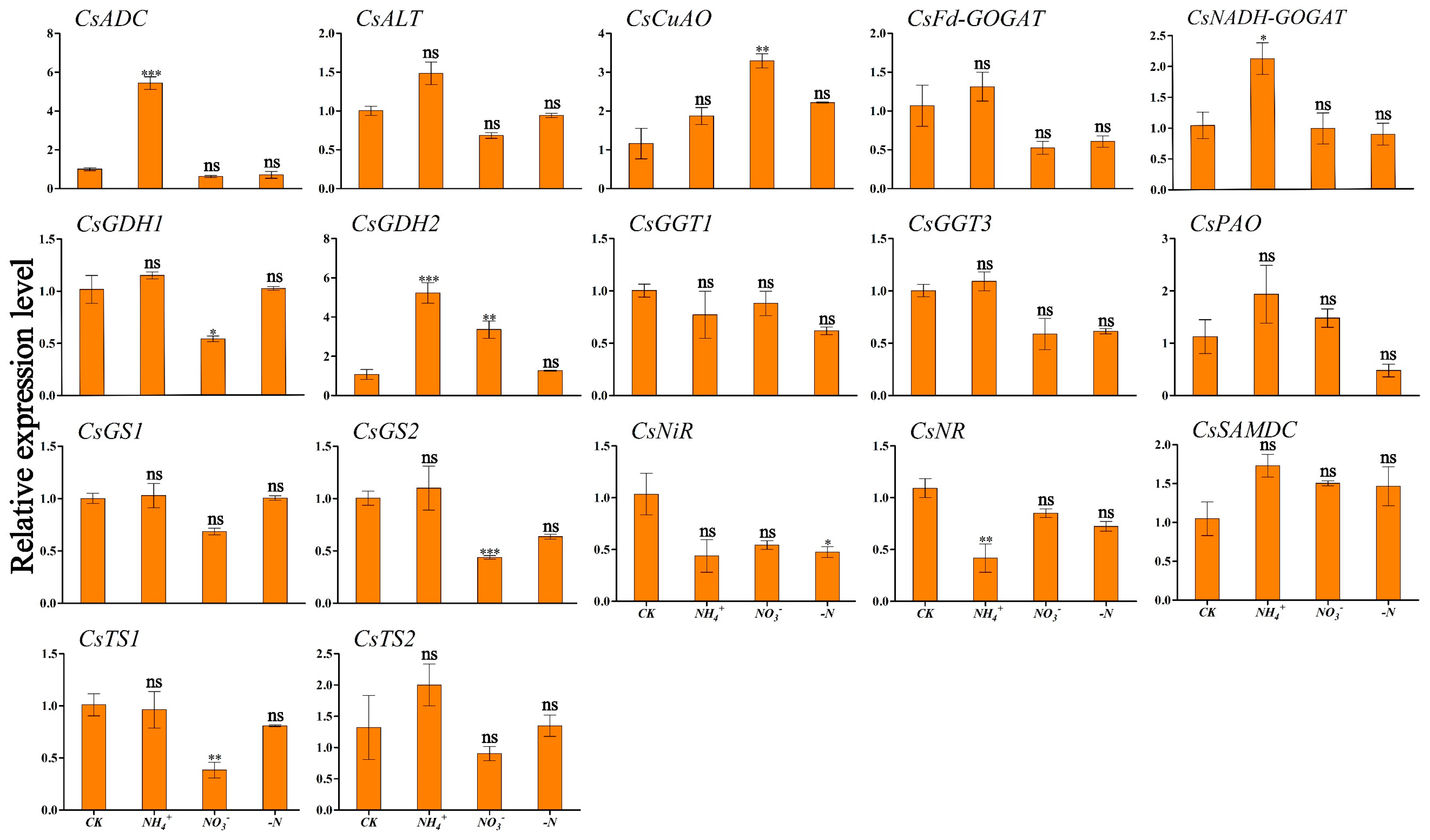 Horticulturae 11 00444 g007