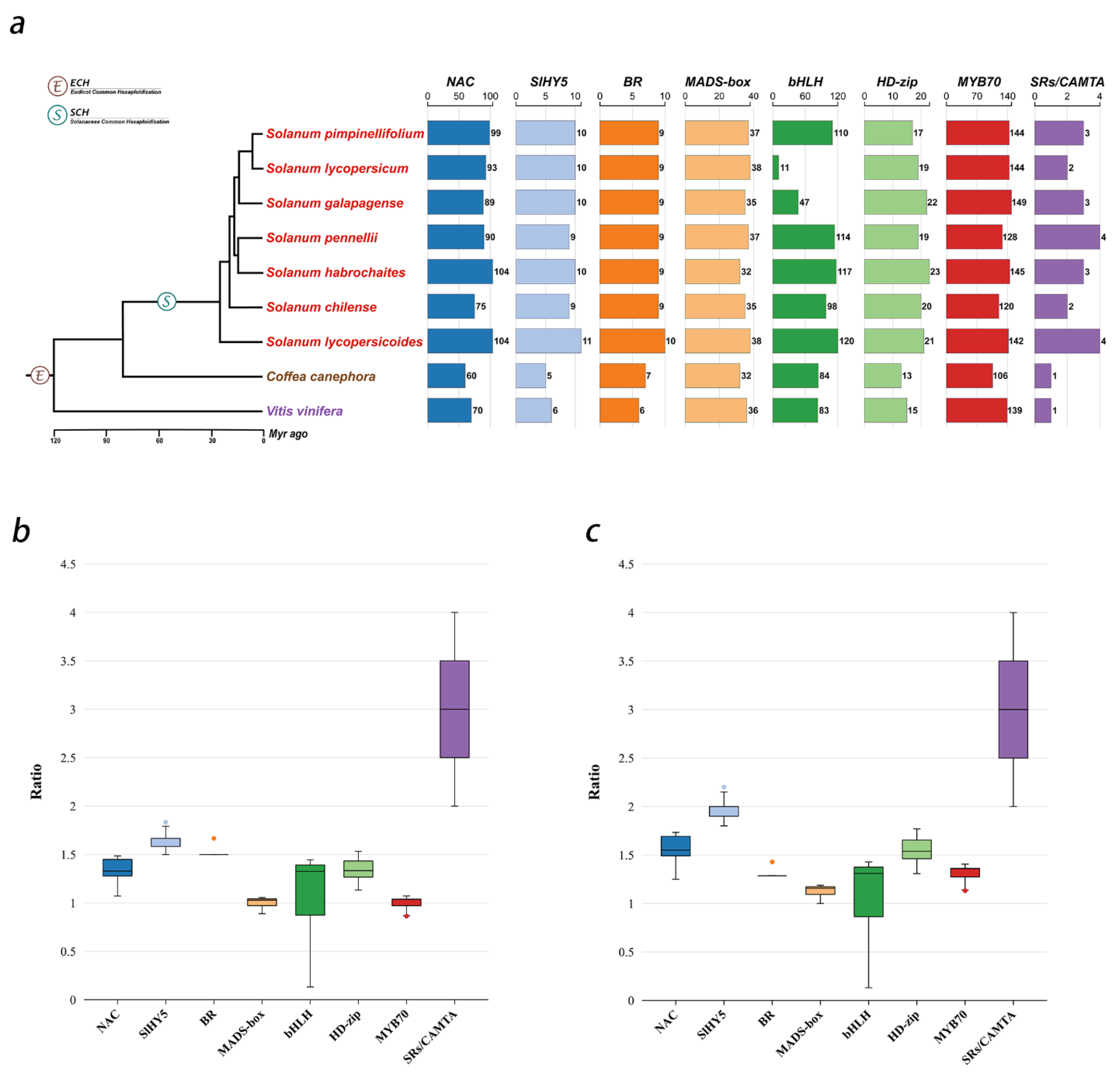 Horticulturae 11 00447 g001