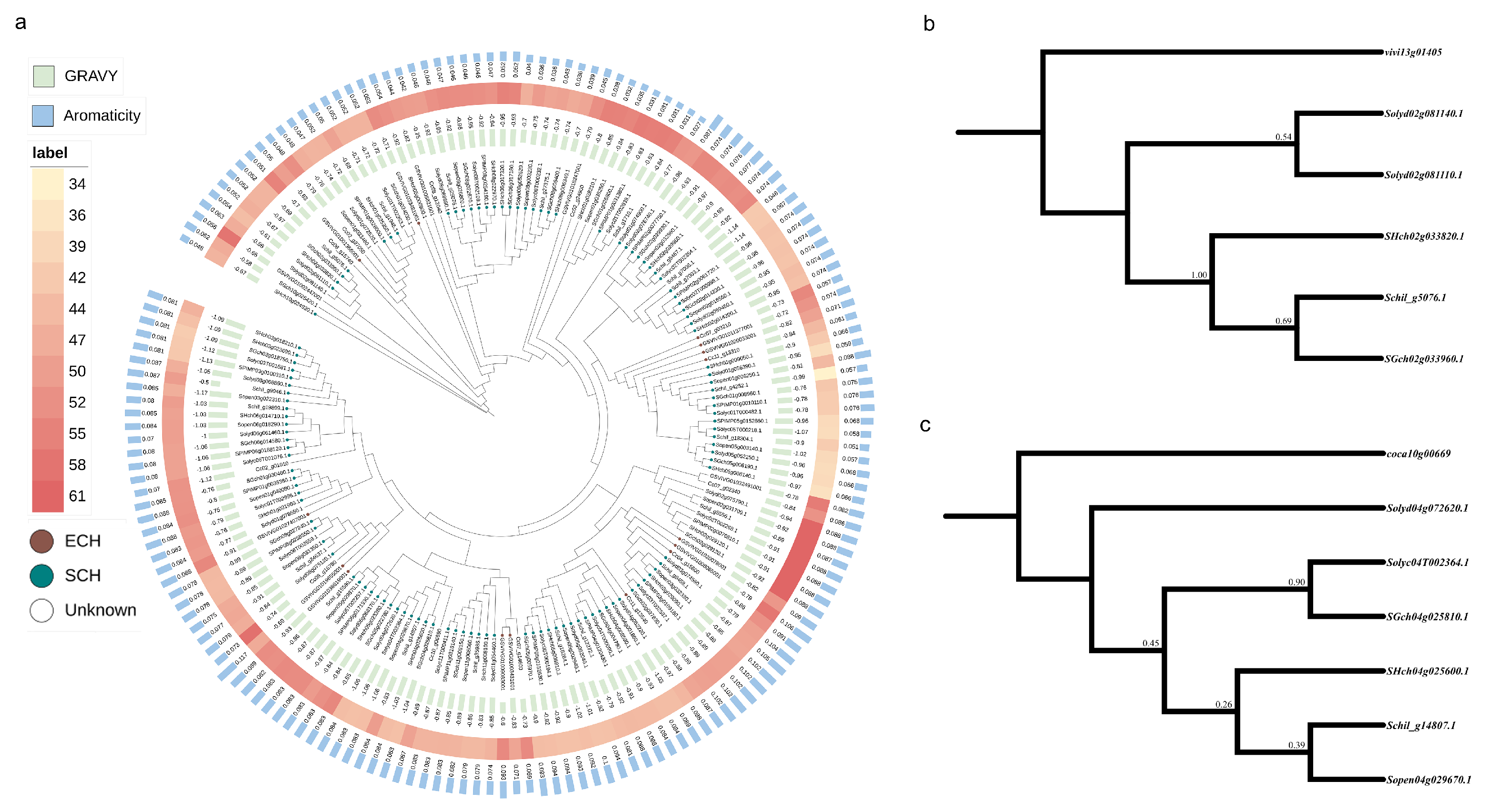 Horticulturae 11 00447 g003