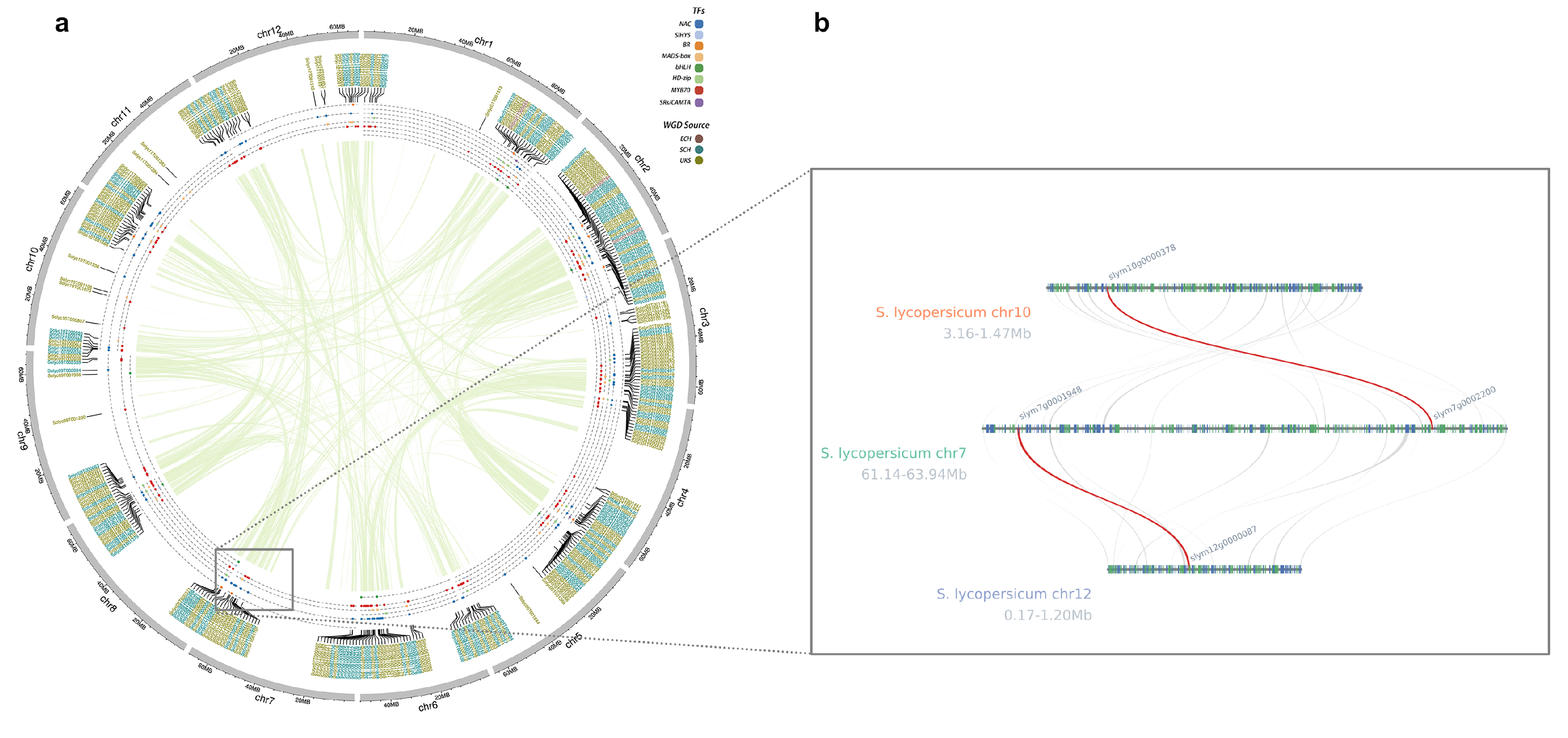 Horticulturae 11 00447 g004