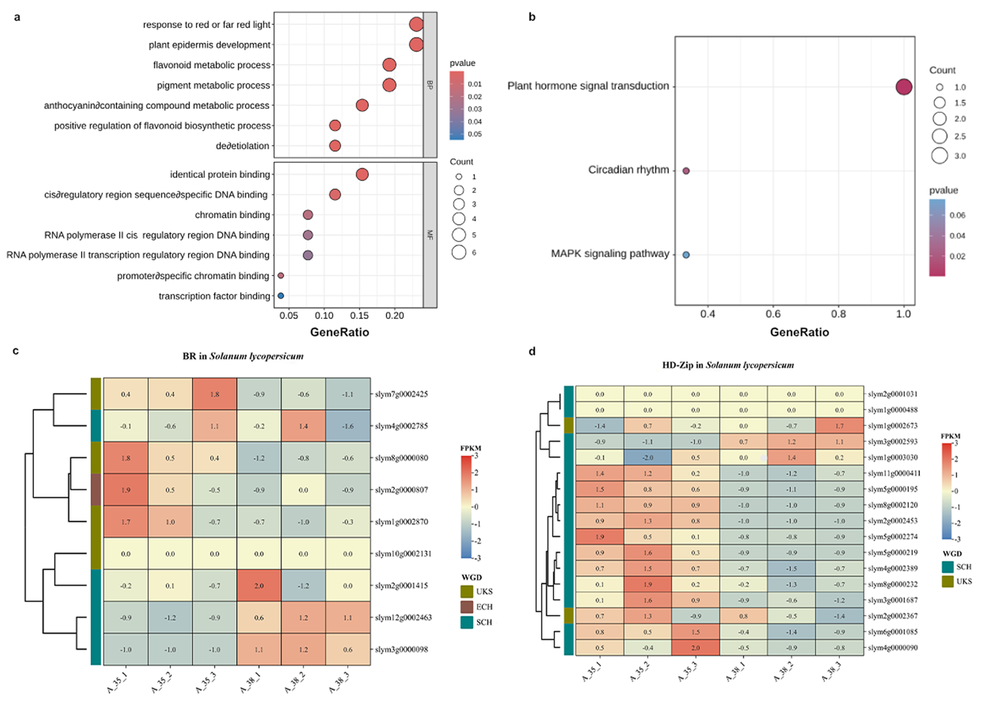 Horticulturae 11 00447 g005