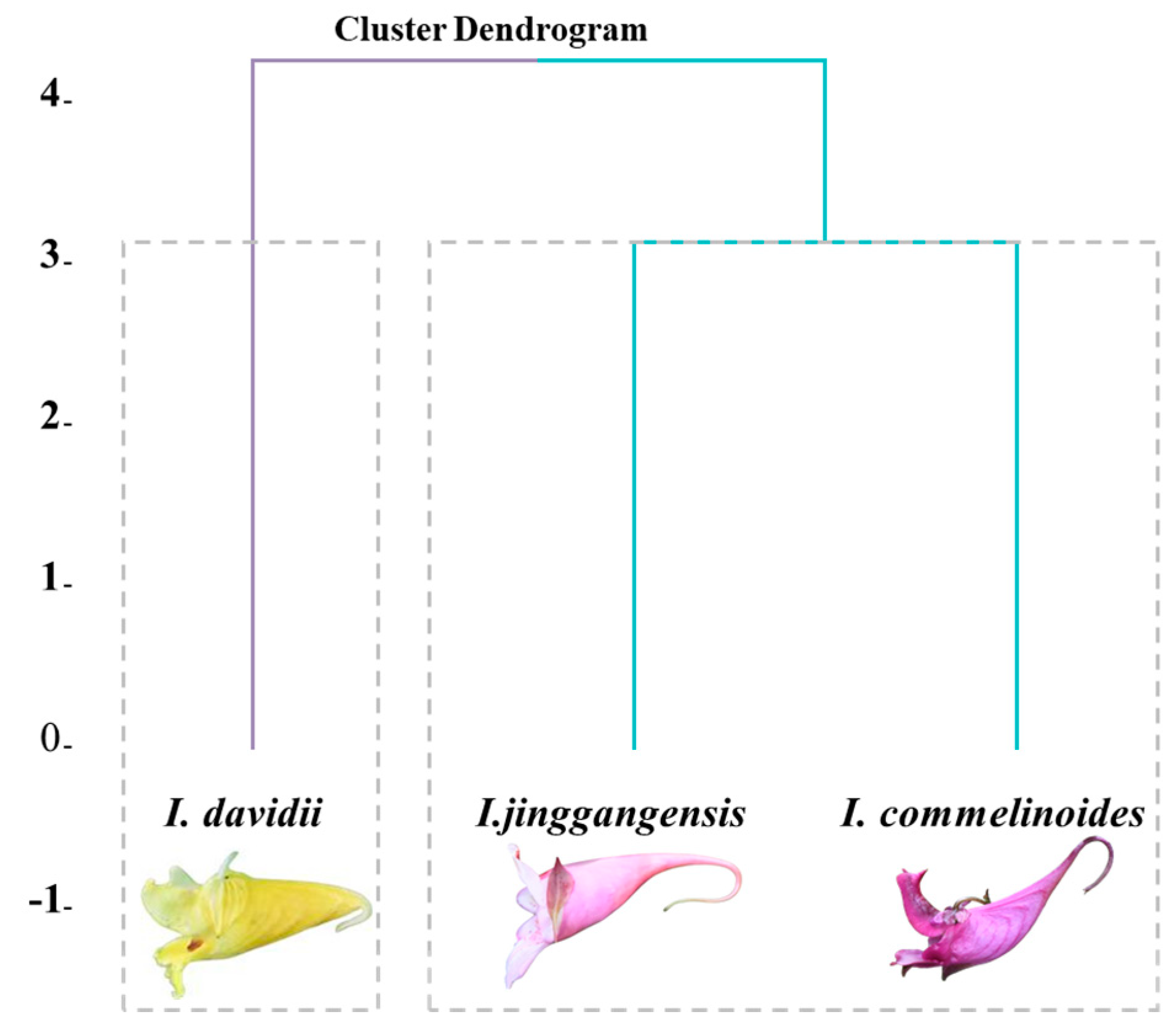 Horticulturae 11 00453 g001 Horticulturae 11 00453 g001