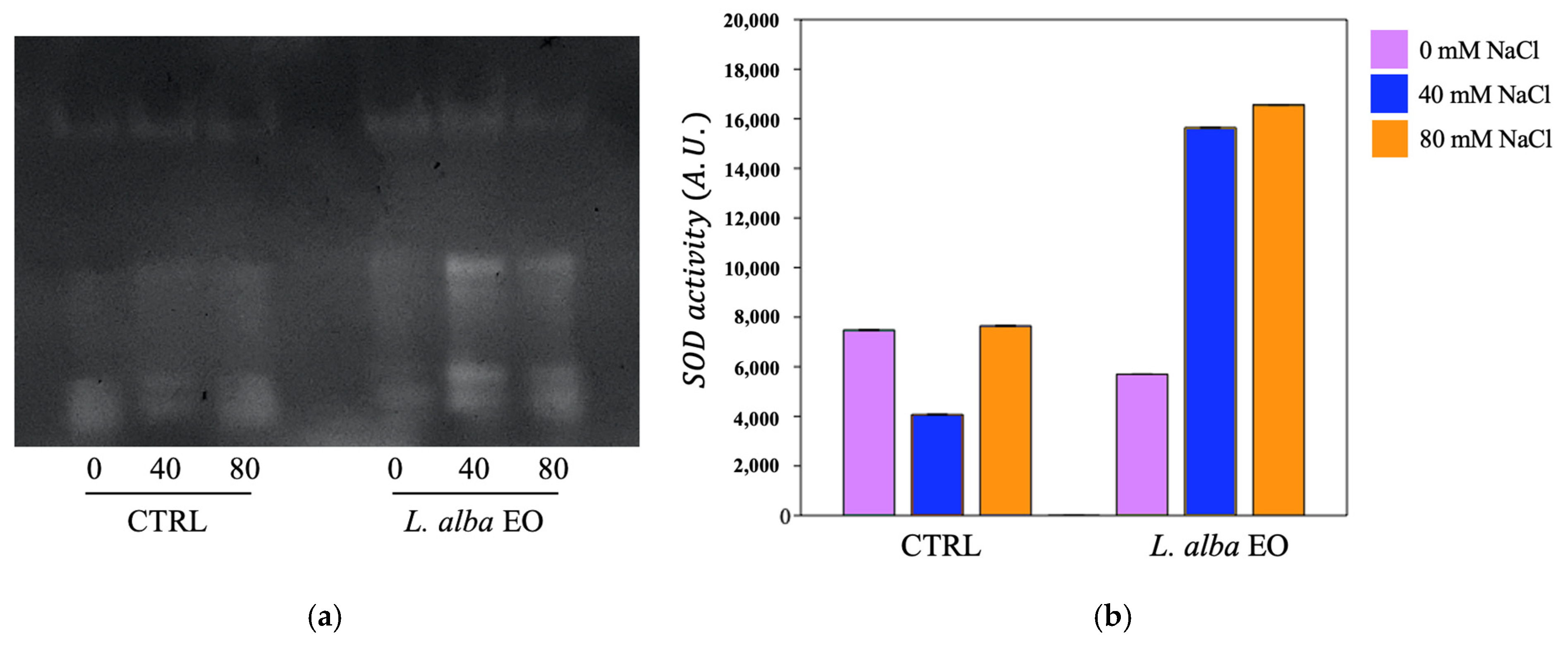 Horticulturae 11 00457 g002