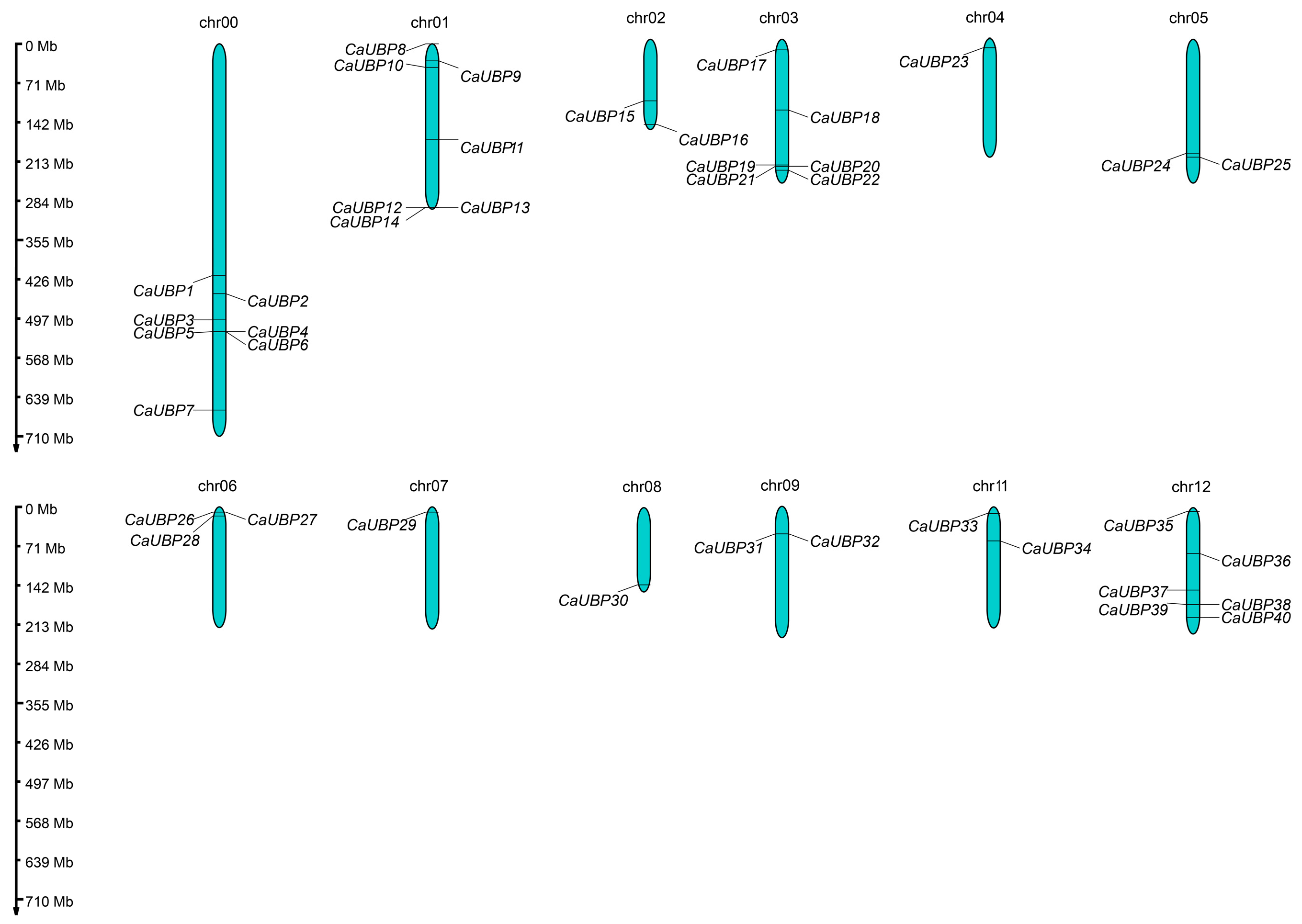 Horticulturae 11 00458 g001