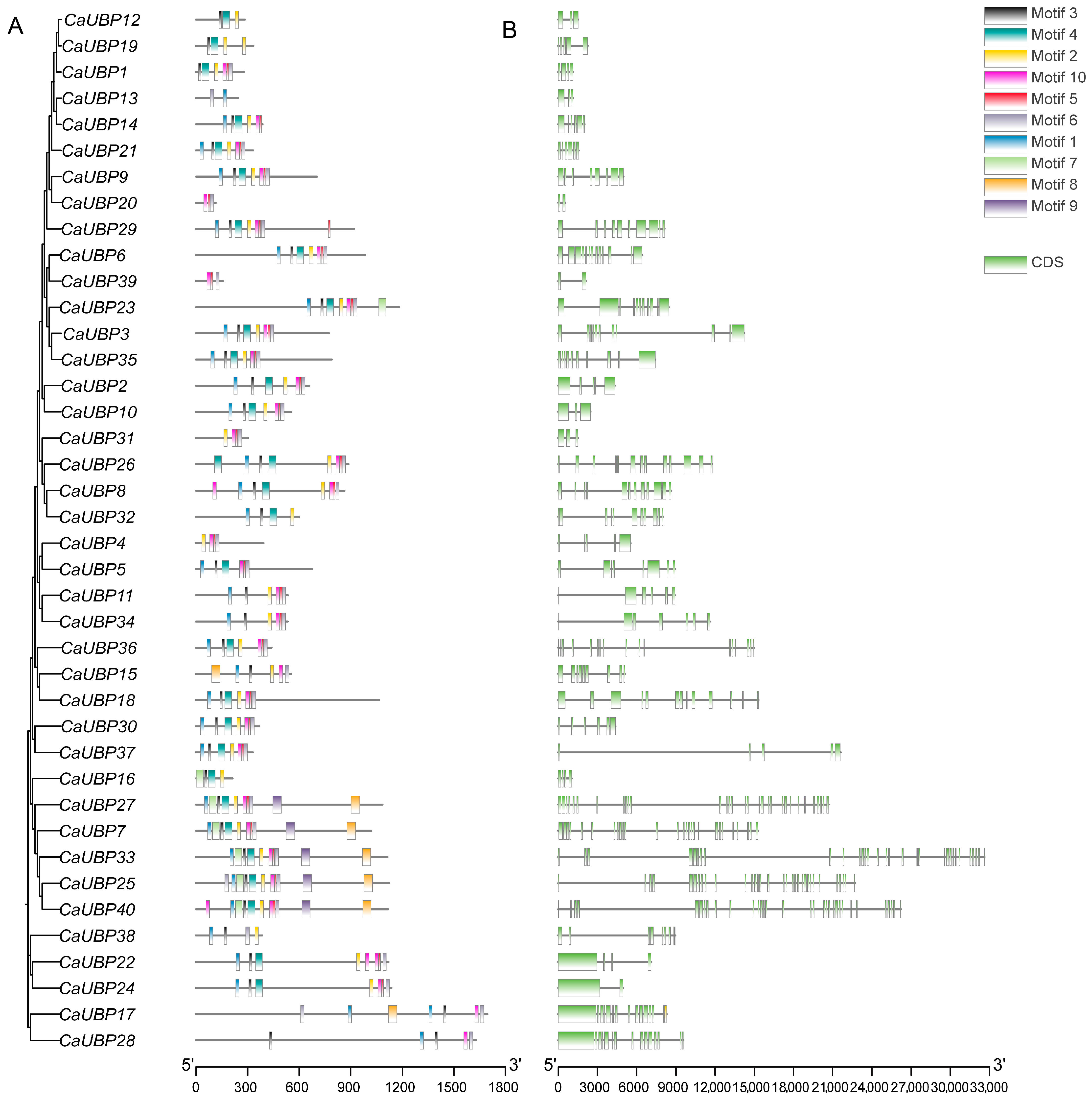 Horticulturae 11 00458 g002
