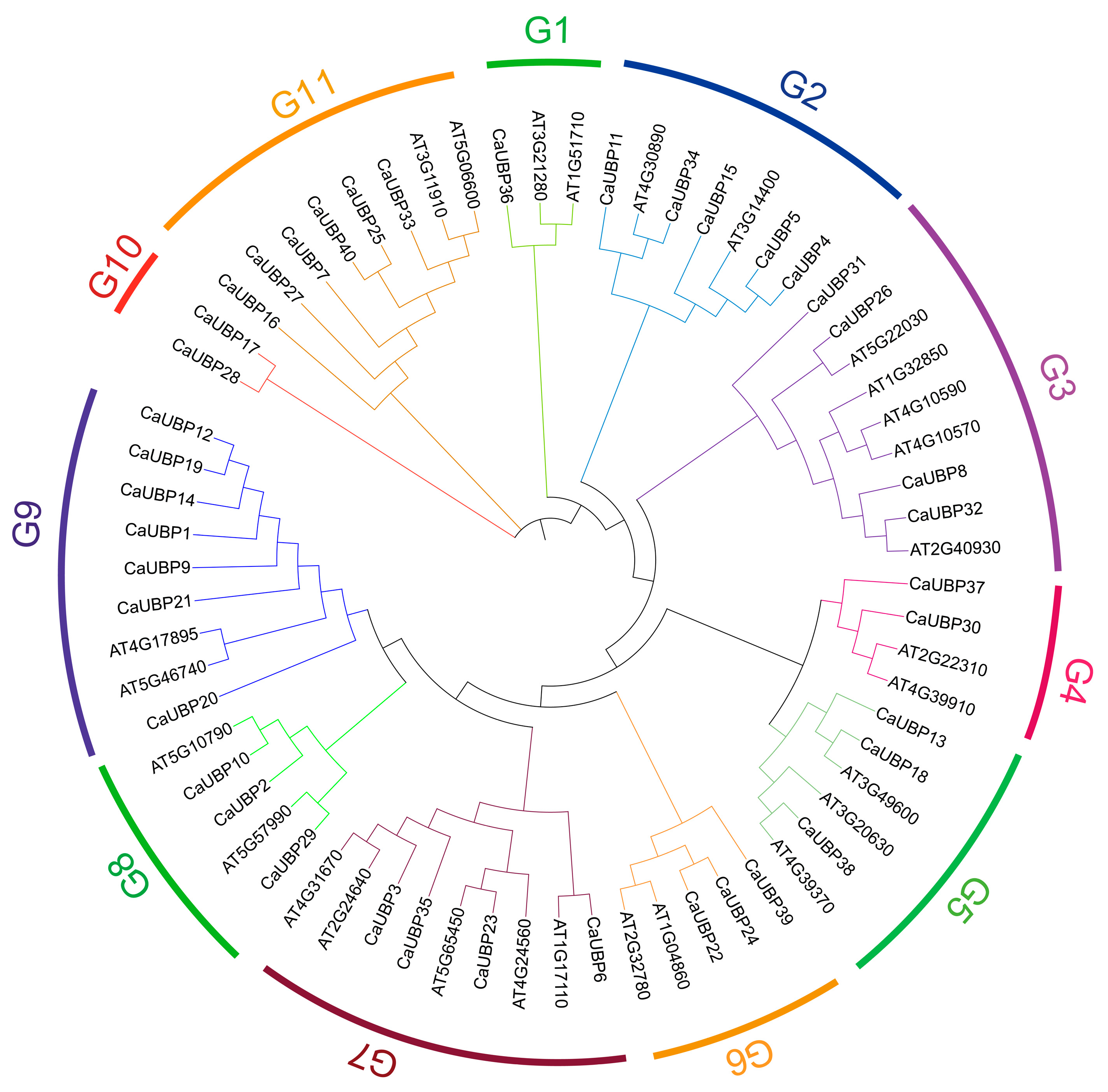 Horticulturae 11 00458 g003