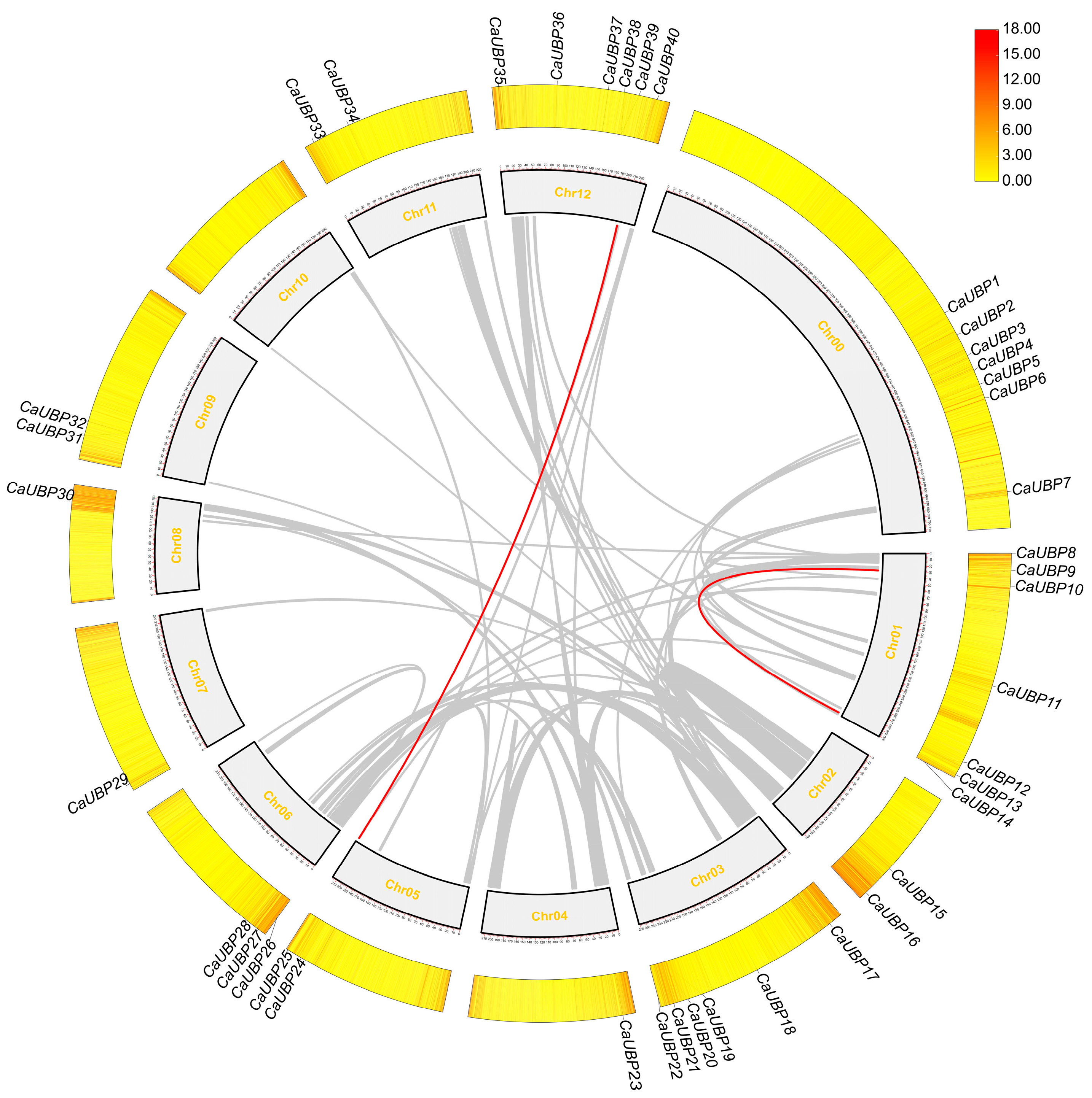 Horticulturae 11 00458 g005