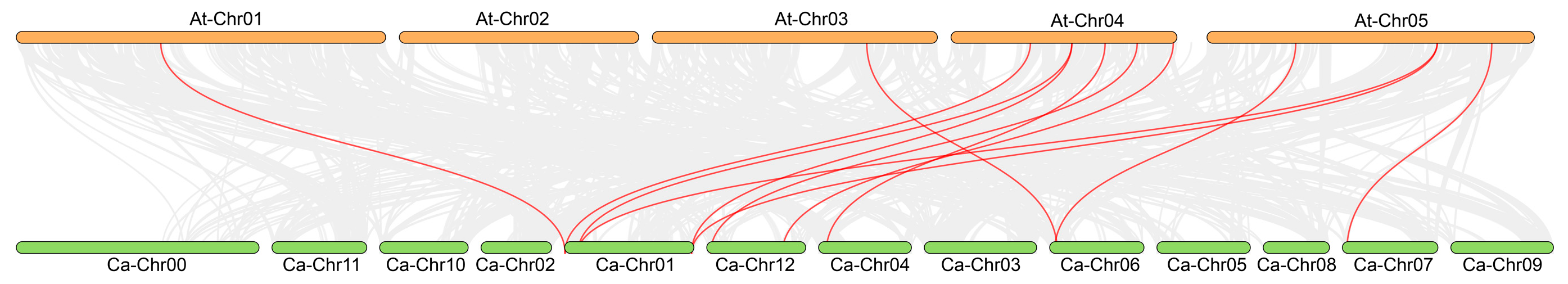 Horticulturae 11 00458 g006