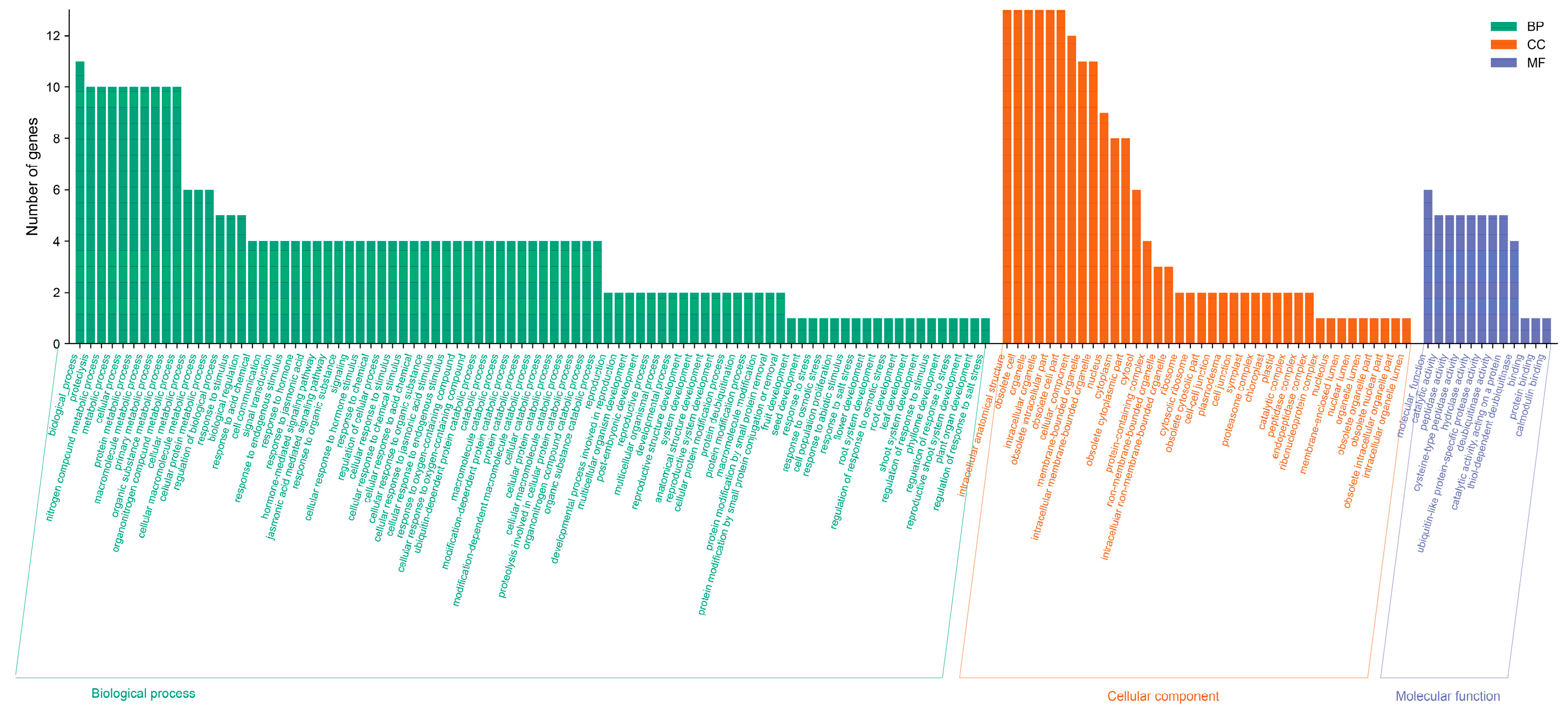 Horticulturae 11 00458 g007