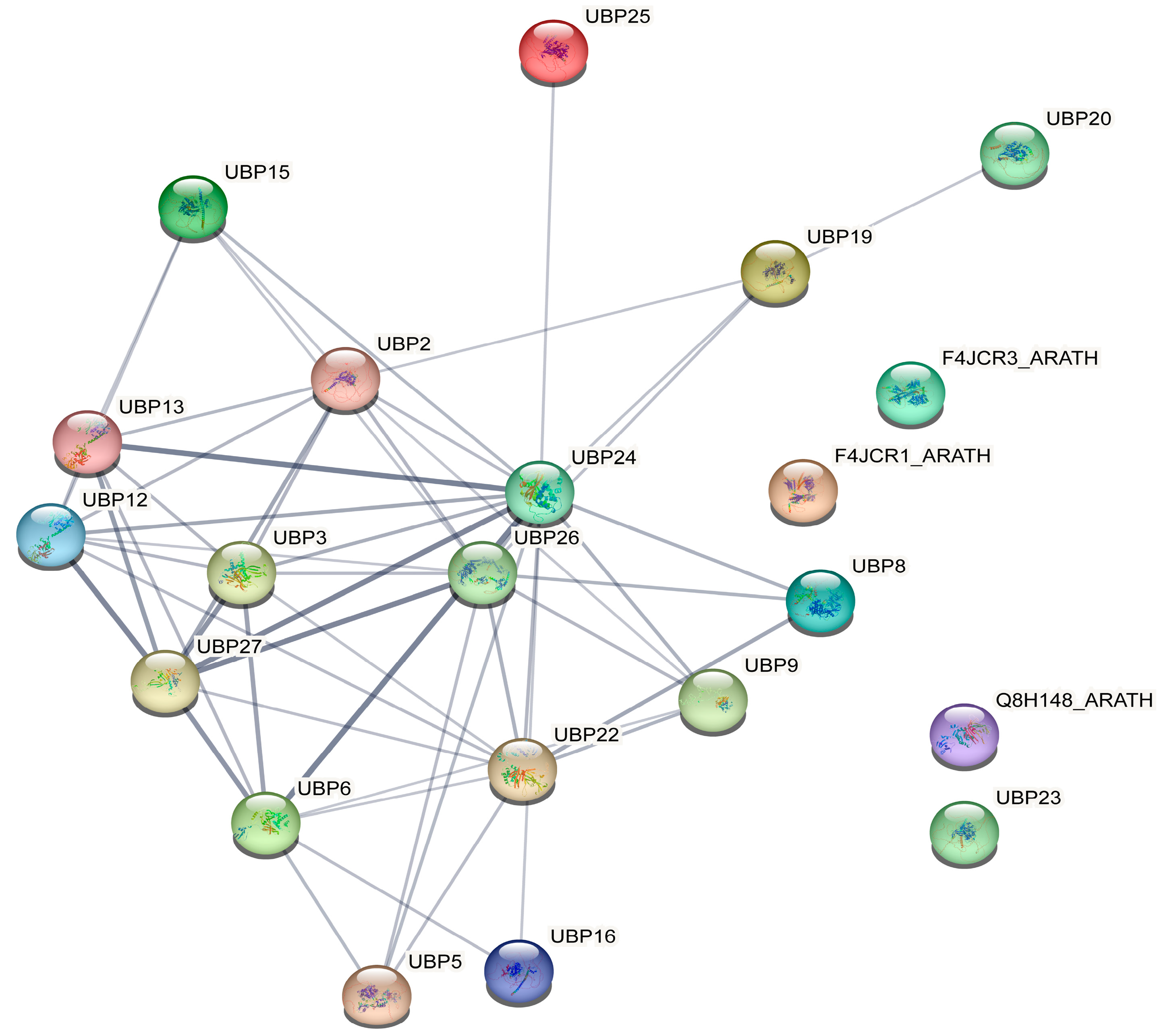 Horticulturae 11 00458 g008