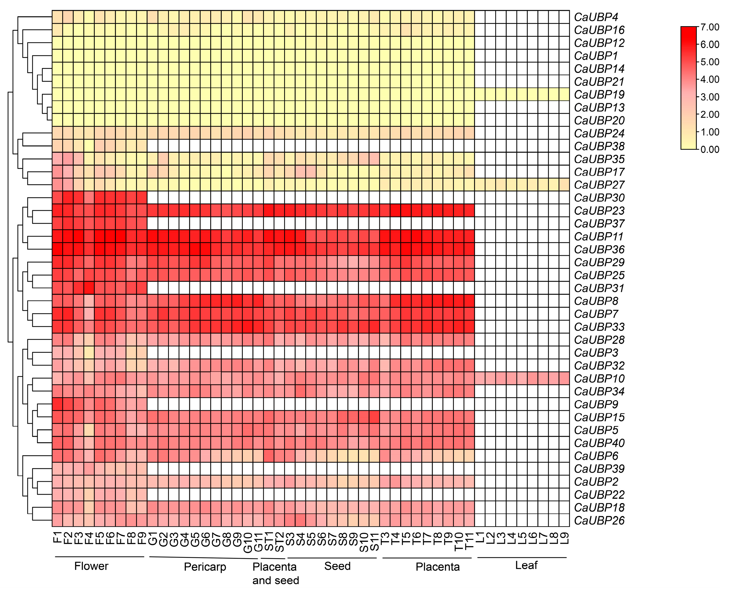 Horticulturae 11 00458 g010
