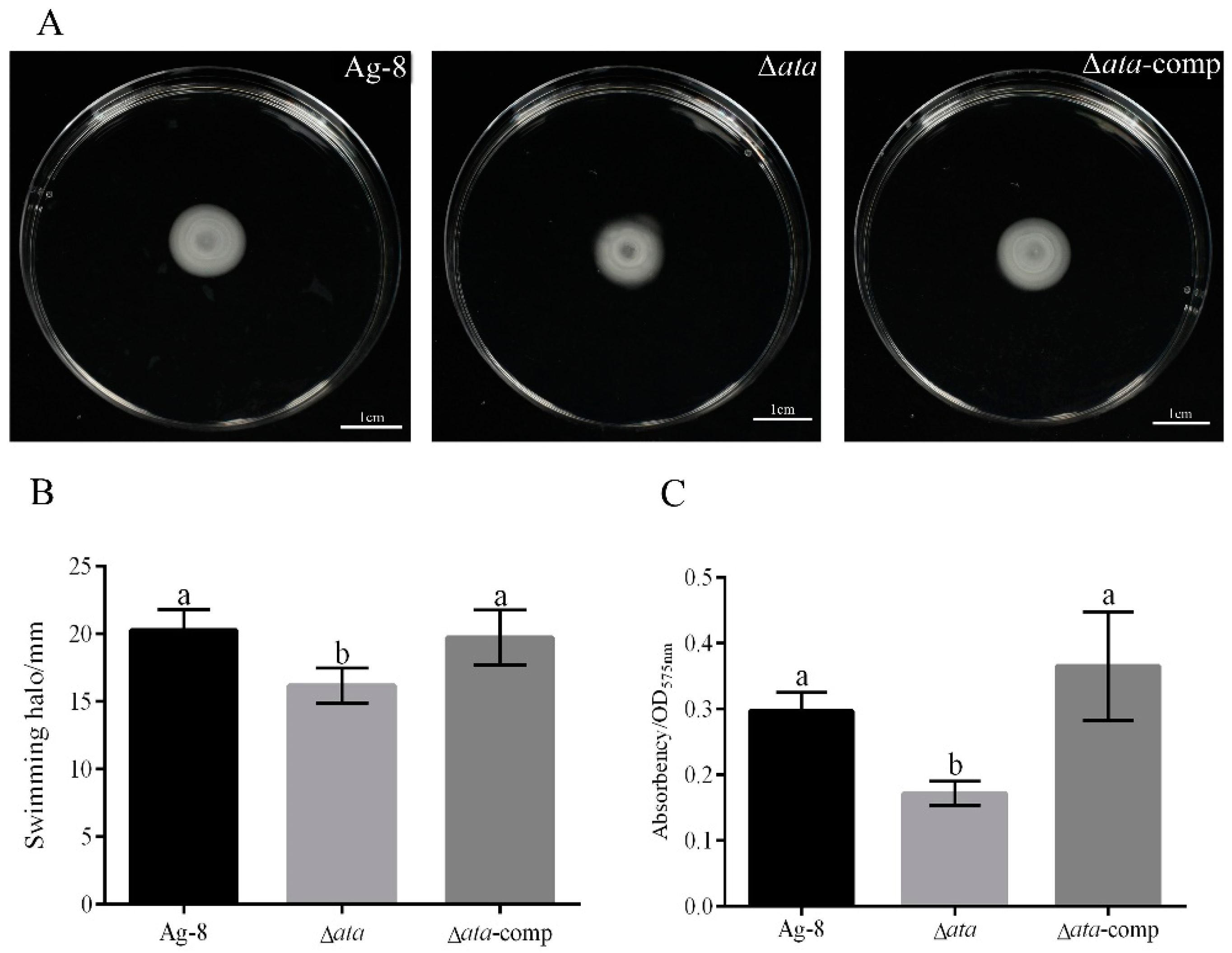 Horticulturae 11 00465 g002 Horticulturae 11 00465 g002