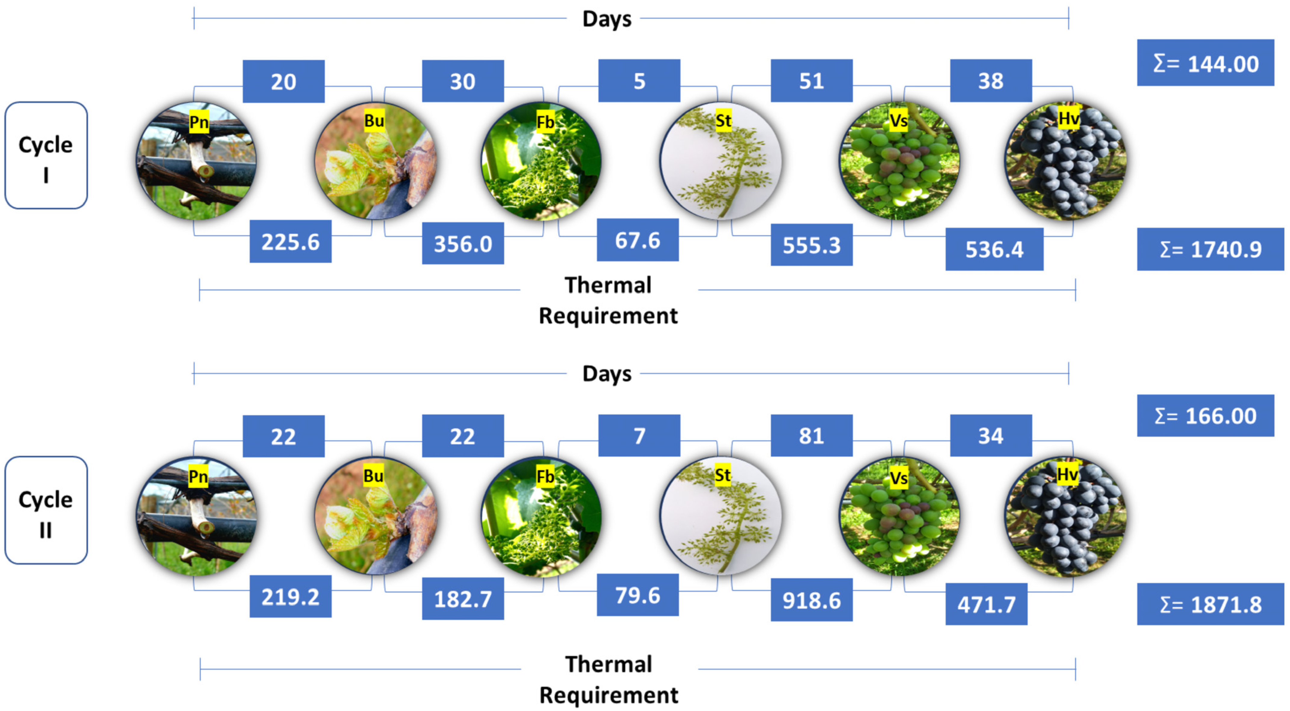 Horticulturae 11 00466 g002 Horticulturae 11 00466 g002