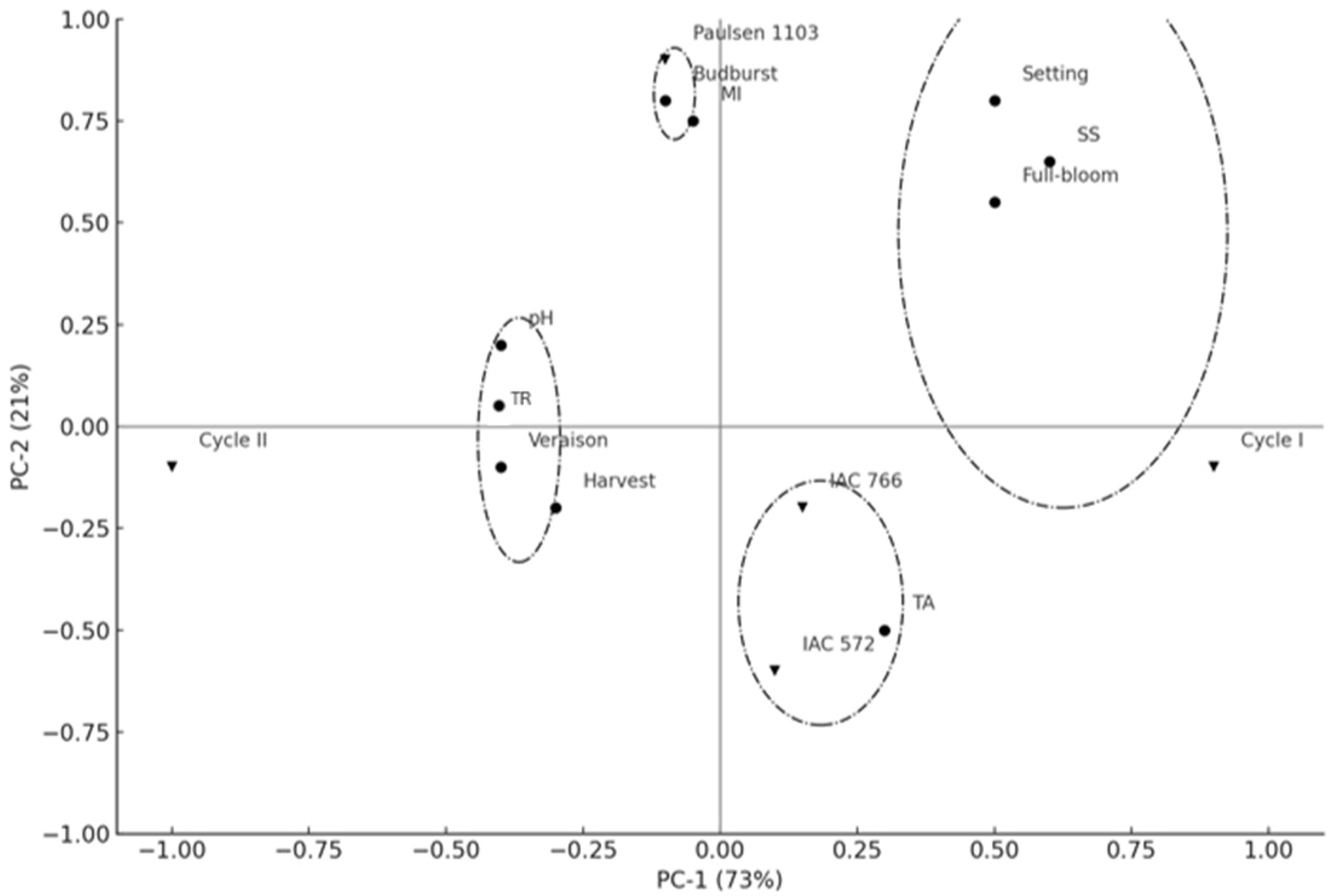 Horticulturae 11 00466 g007 Horticulturae 11 00466 g007
