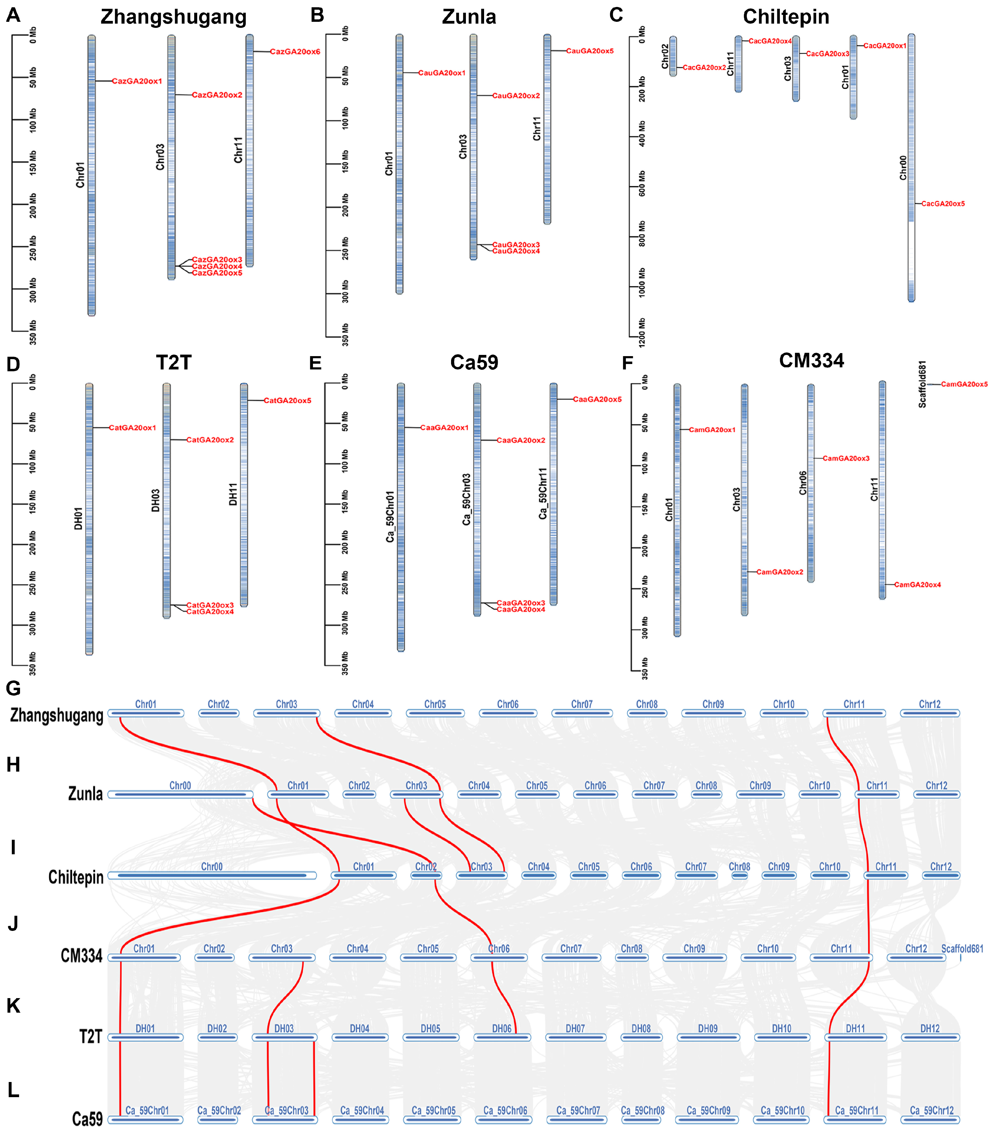 Horticulturae 11 00469 g001