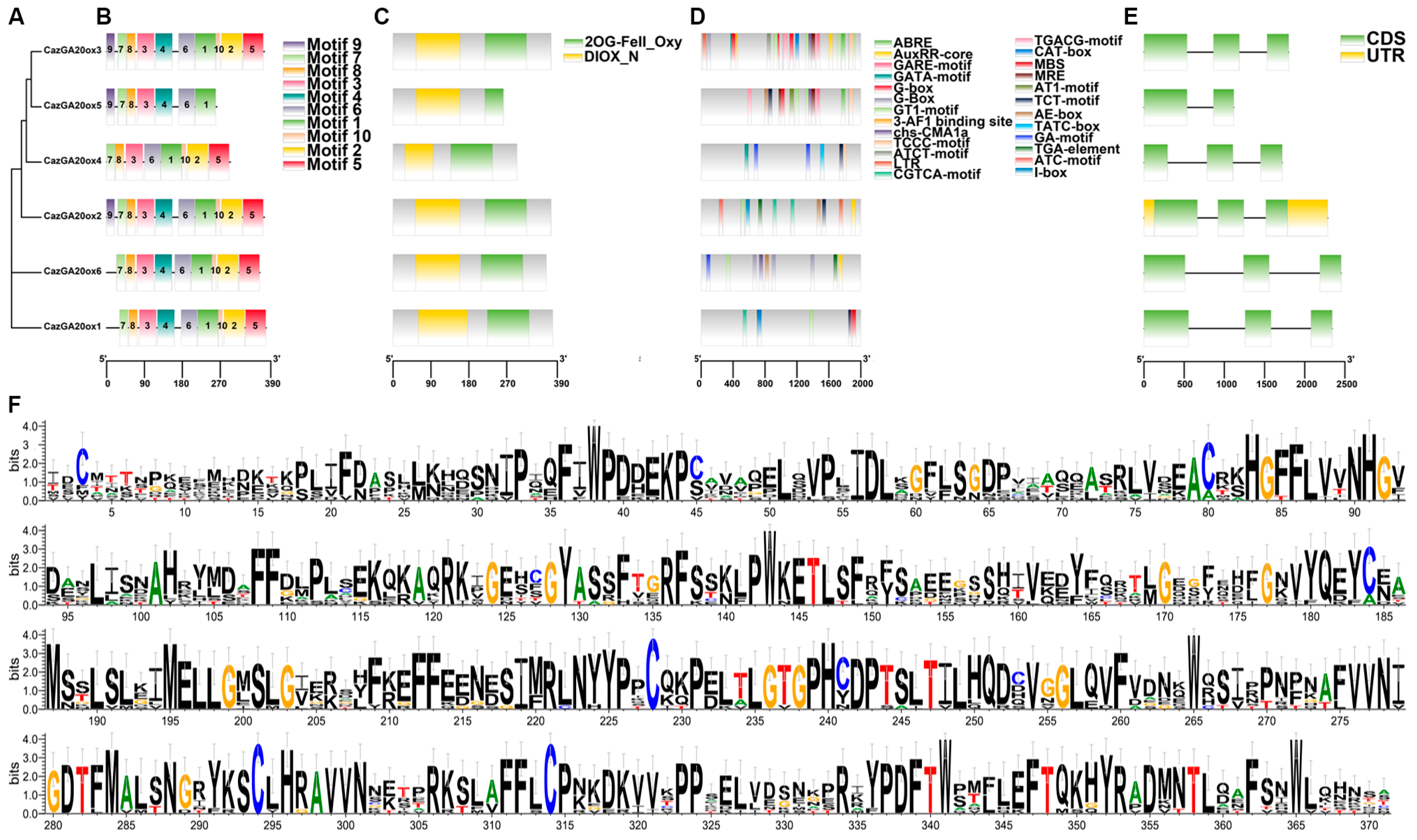 Horticulturae 11 00469 g003