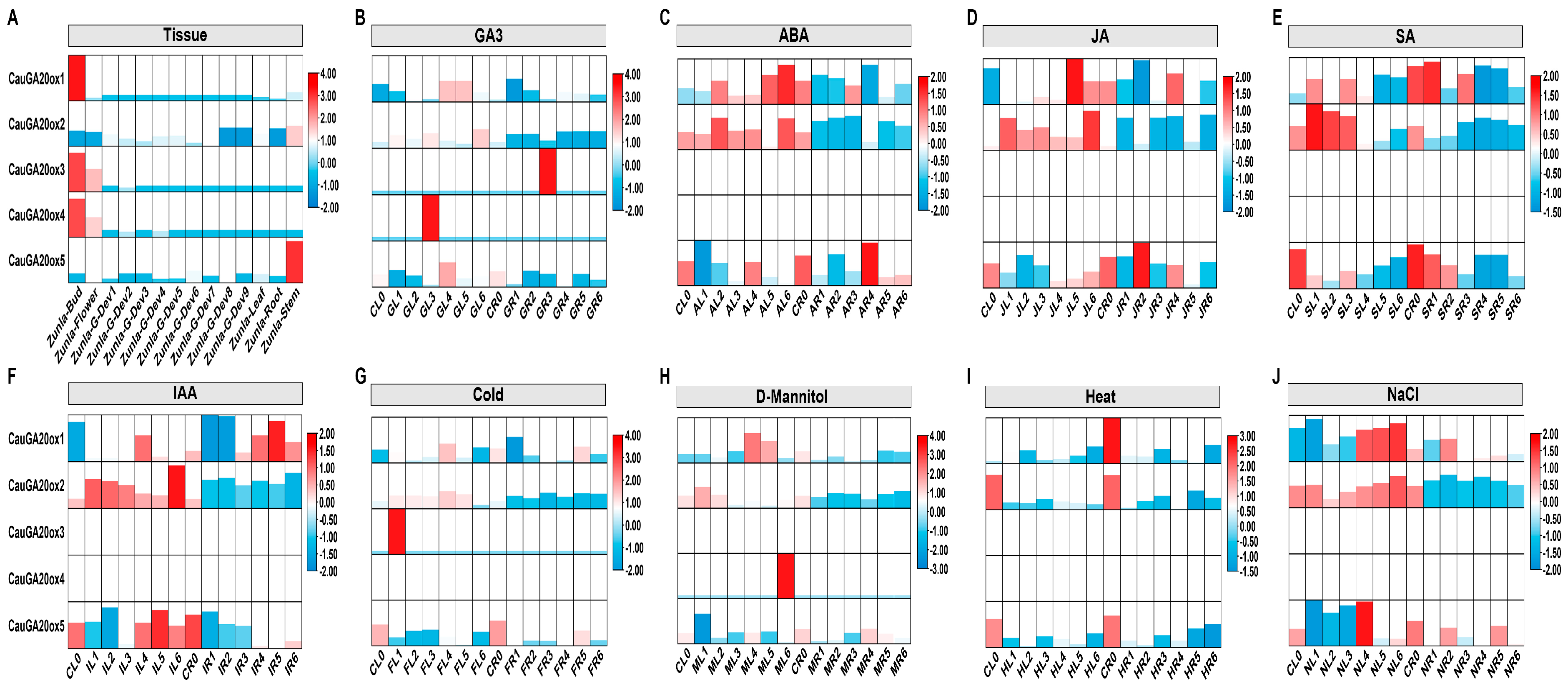 Horticulturae 11 00469 g004