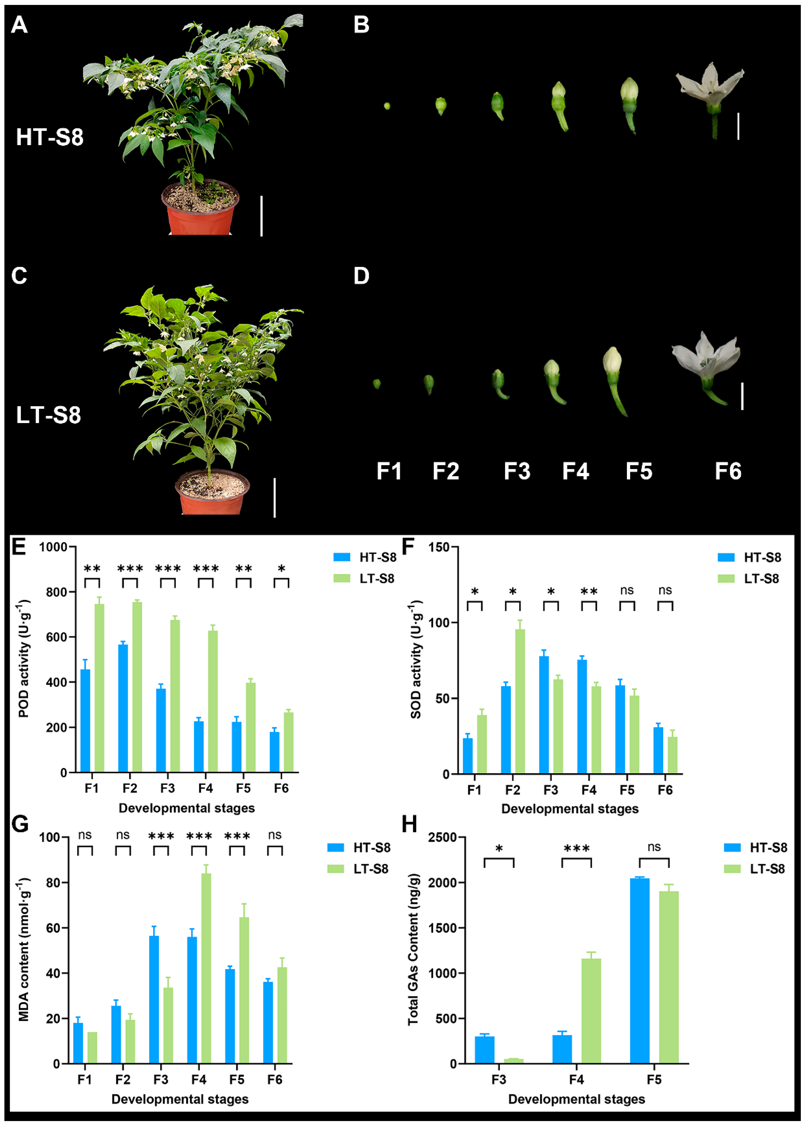 Horticulturae 11 00469 g005
