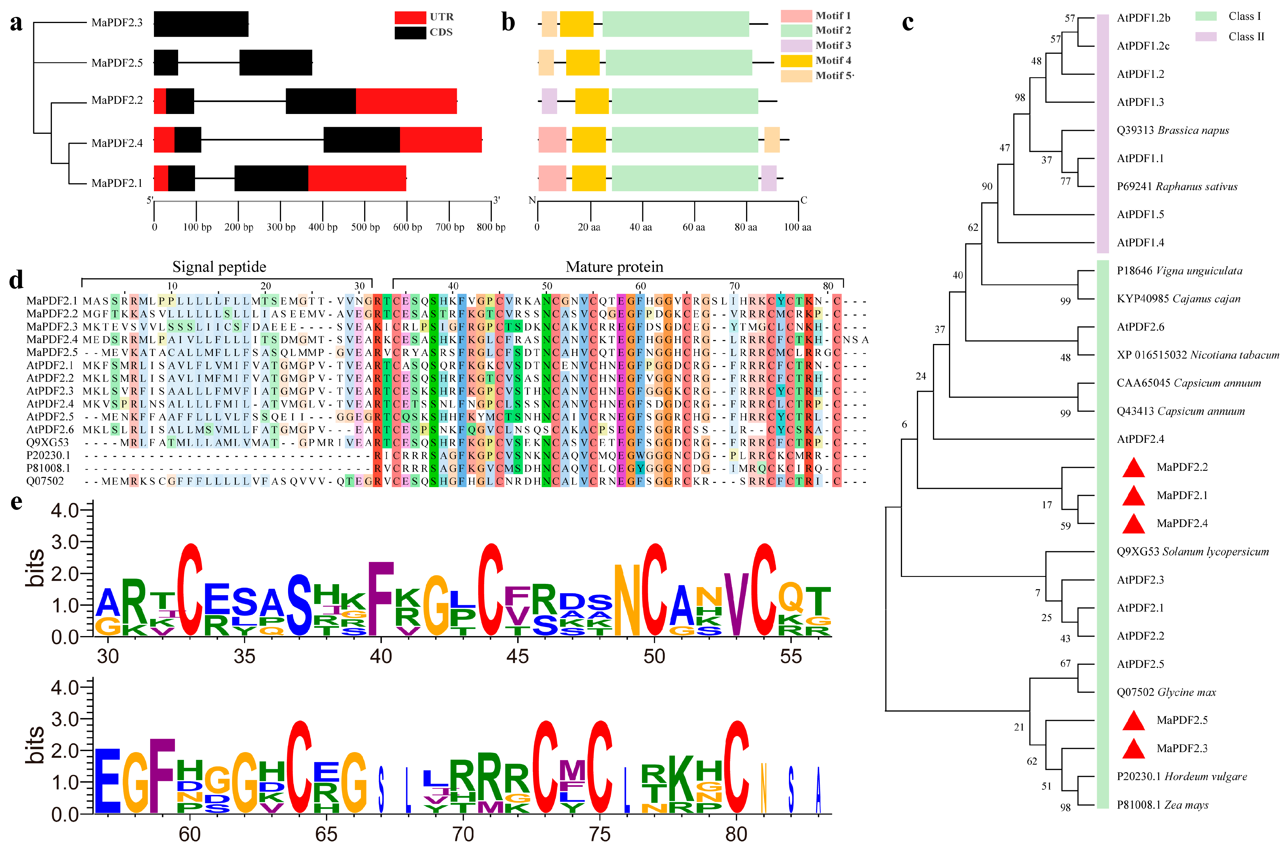 Horticulturae 11 00513 g001 Horticulturae 11 00513 g001