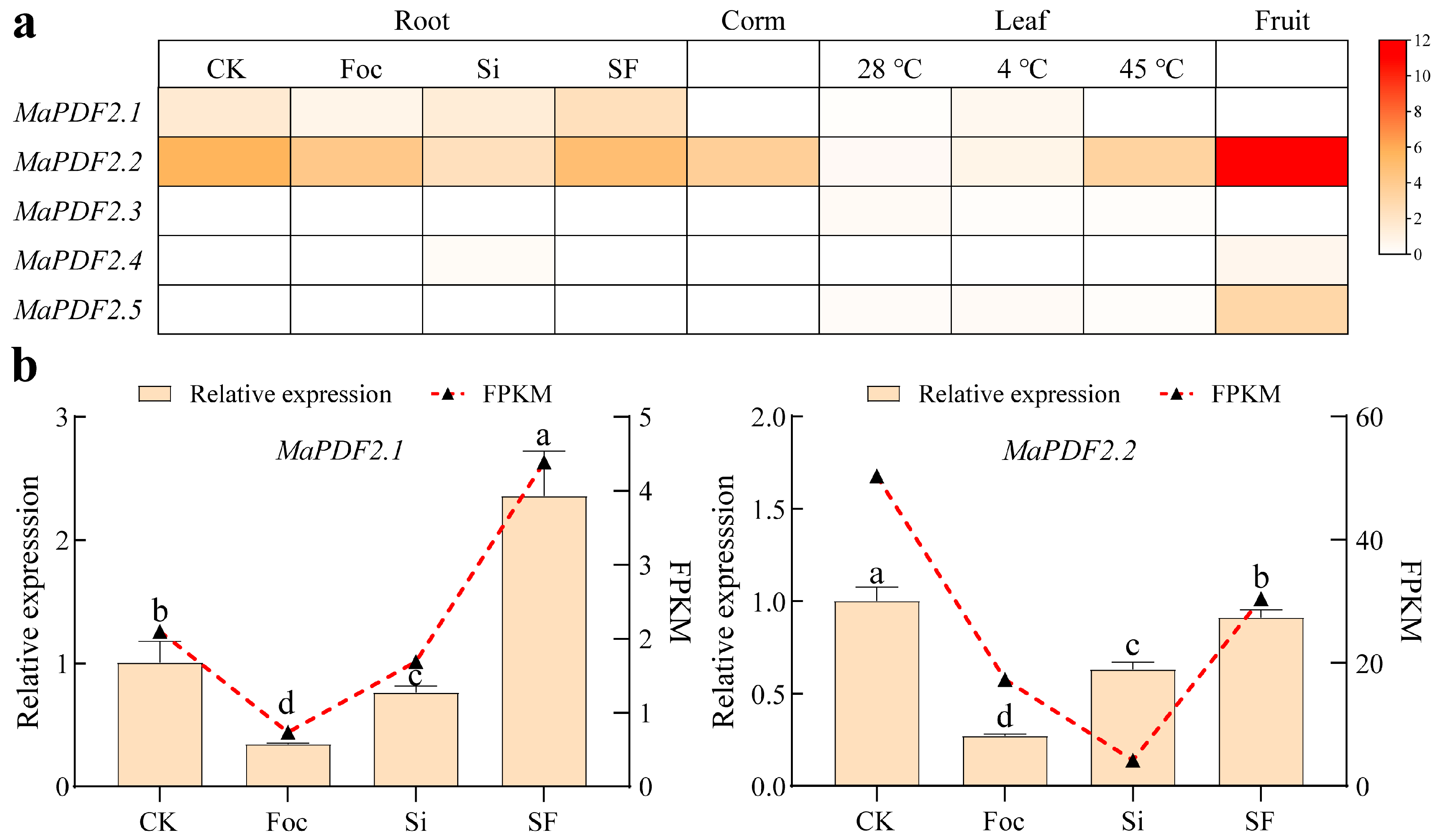 Horticulturae 11 00513 g003 Horticulturae 11 00513 g003