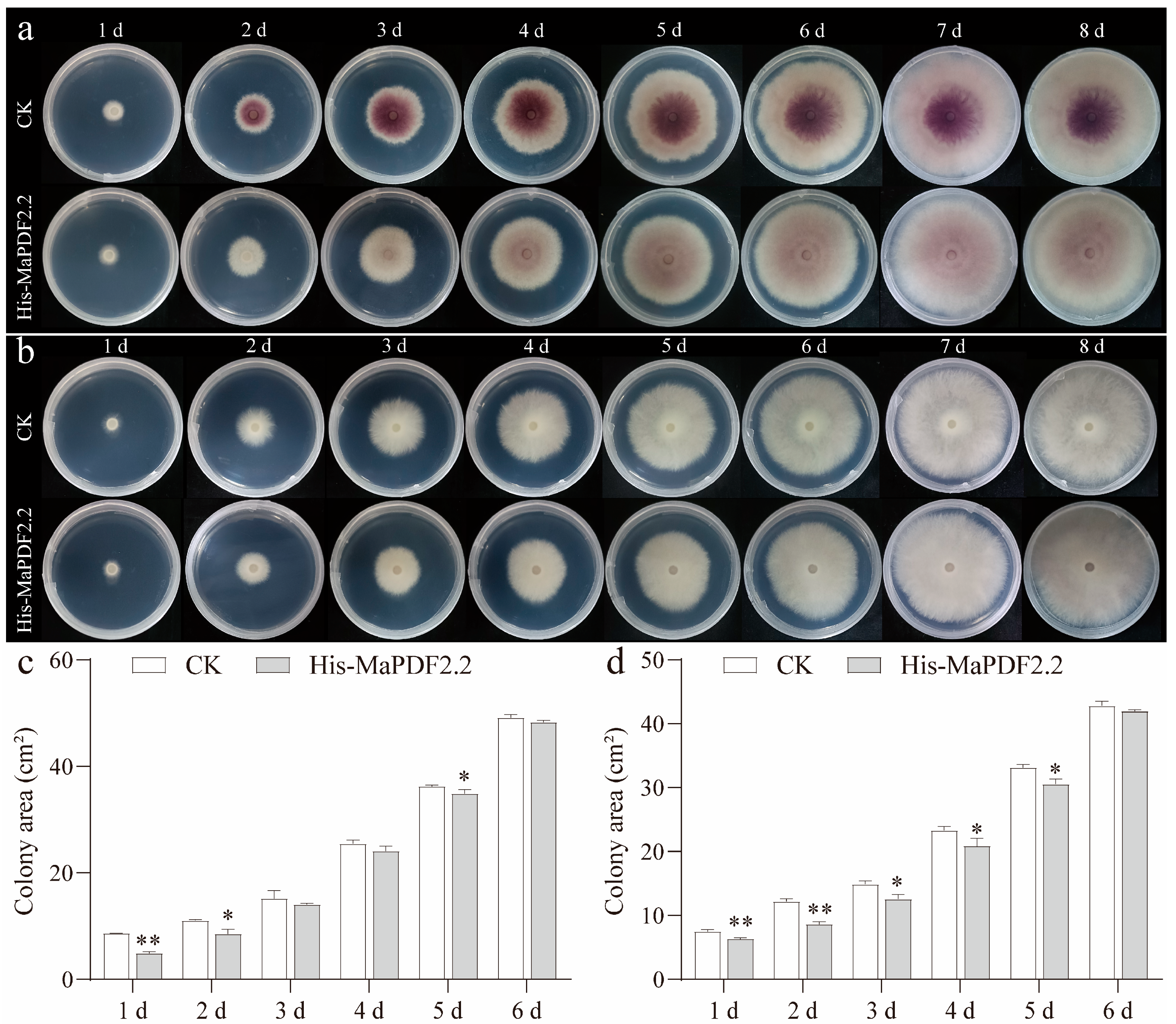 Horticulturae 11 00513 g005 Horticulturae 11 00513 g005
