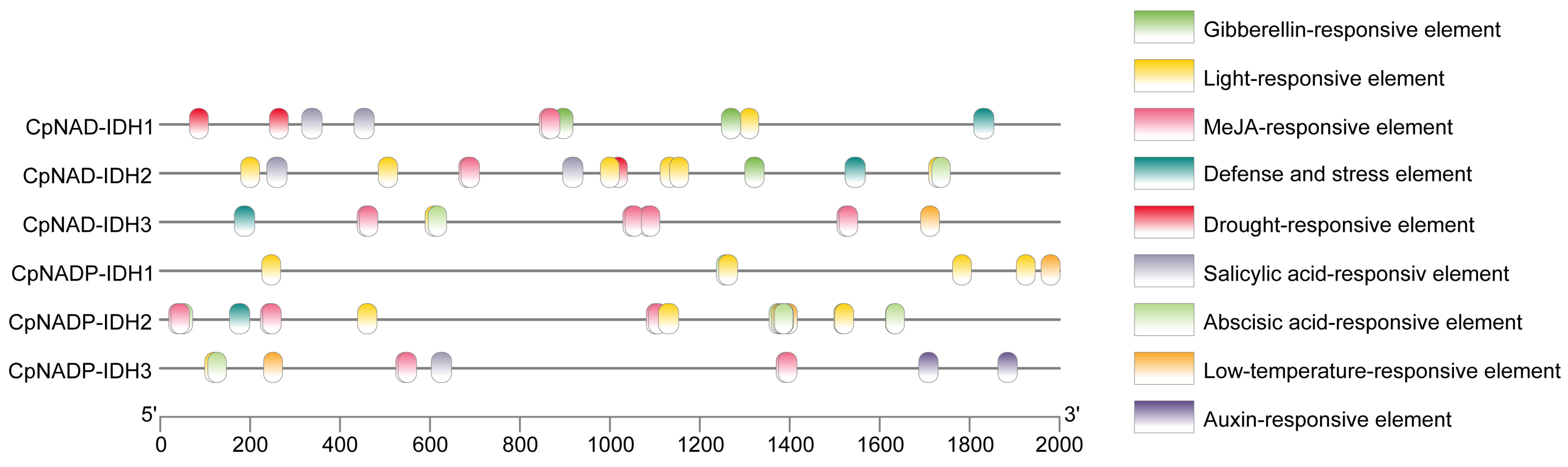 Horticulturae 11 00598 g007