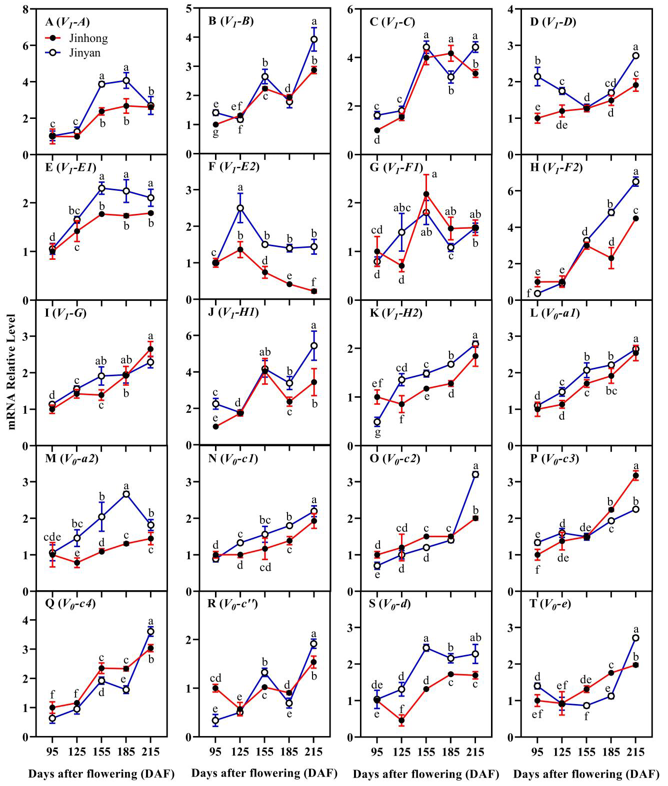 Horticulturae 11 00616 g004 Horticulturae 11 00616 g004