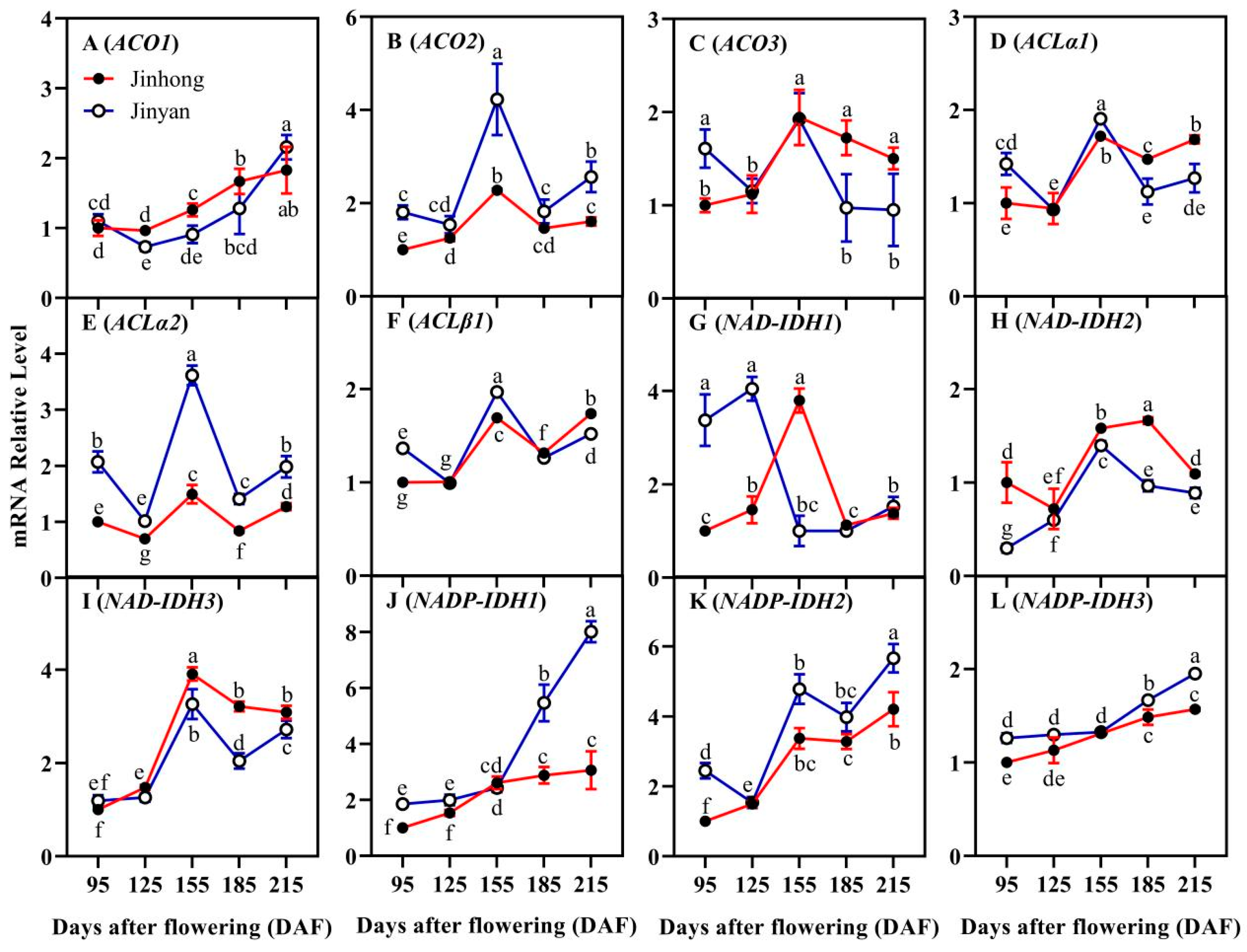 Horticulturae 11 00616 g007 Horticulturae 11 00616 g007