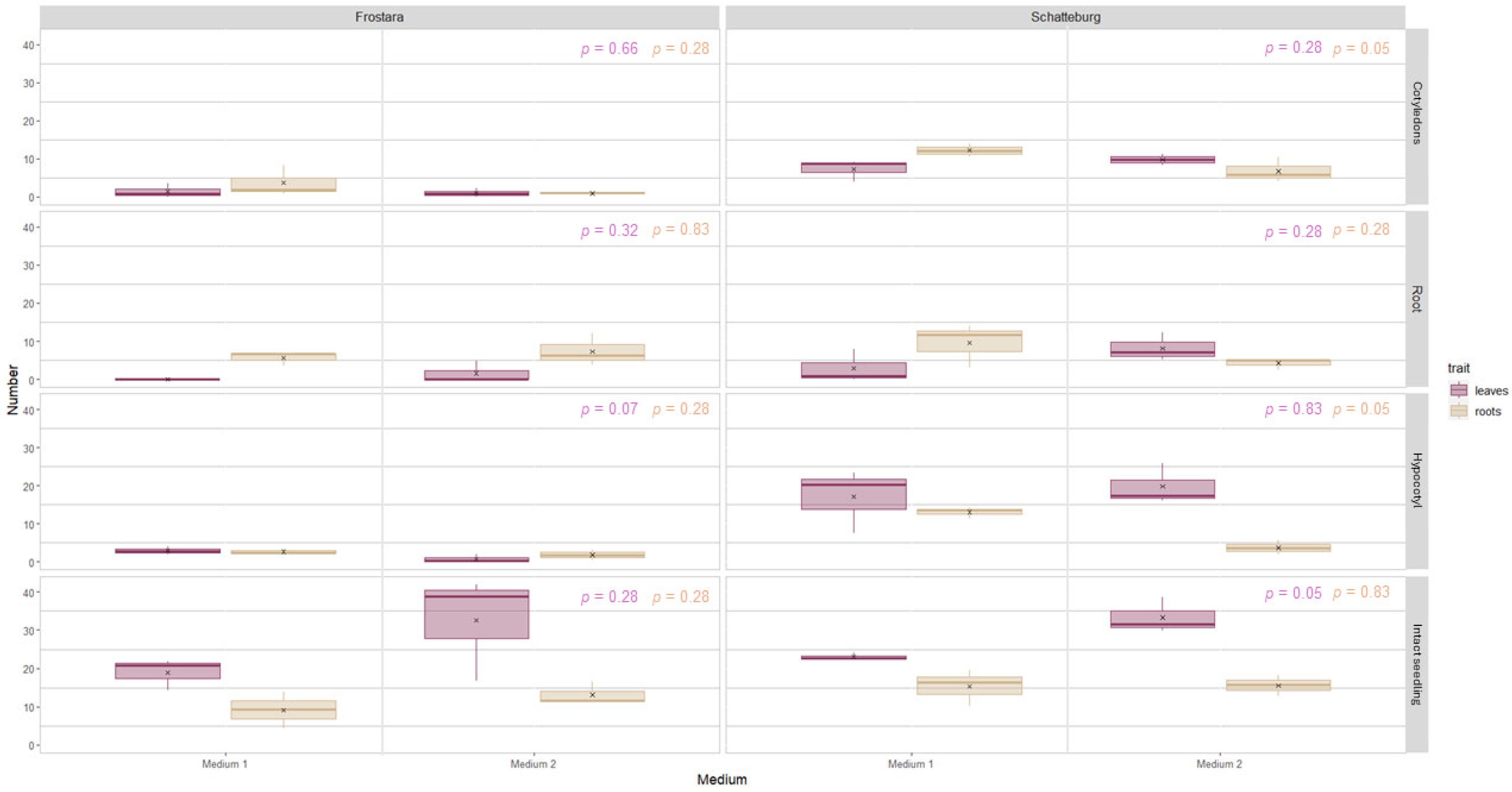 Horticulturae 11 00767 g005