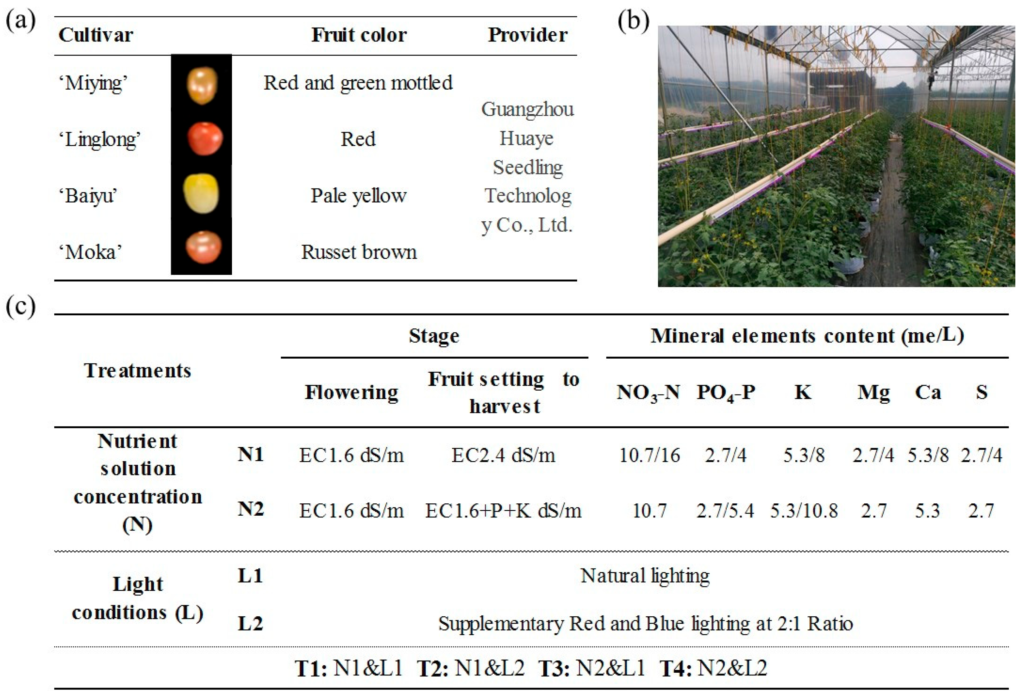 Horticulturae 11 00874 g001