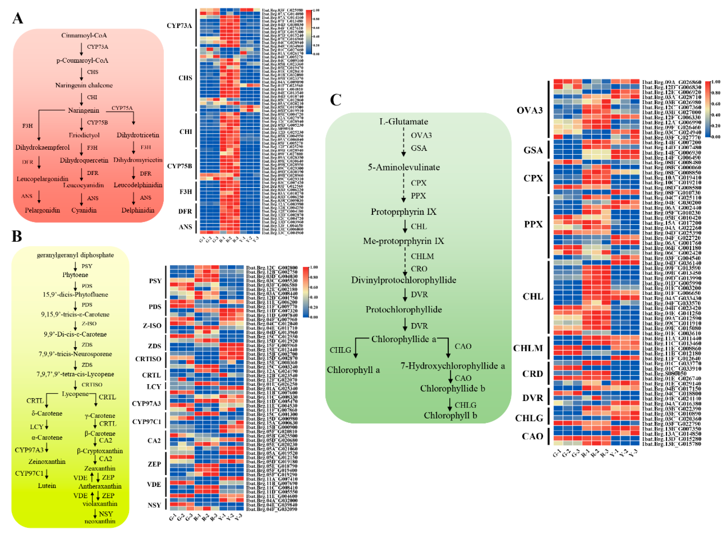 Horticulturae 11 01317 g005 Horticulturae 11 01317 g005