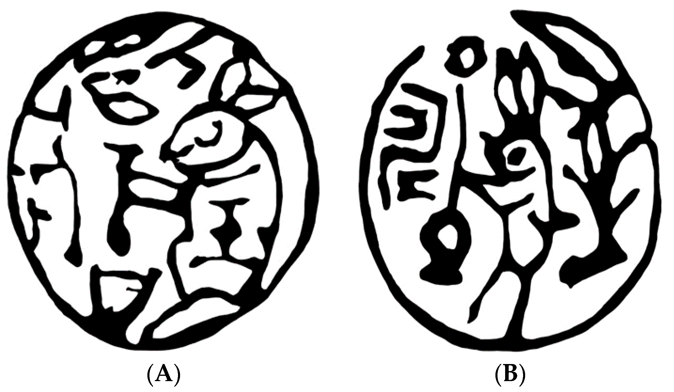 Humanities 07 00083 g008
