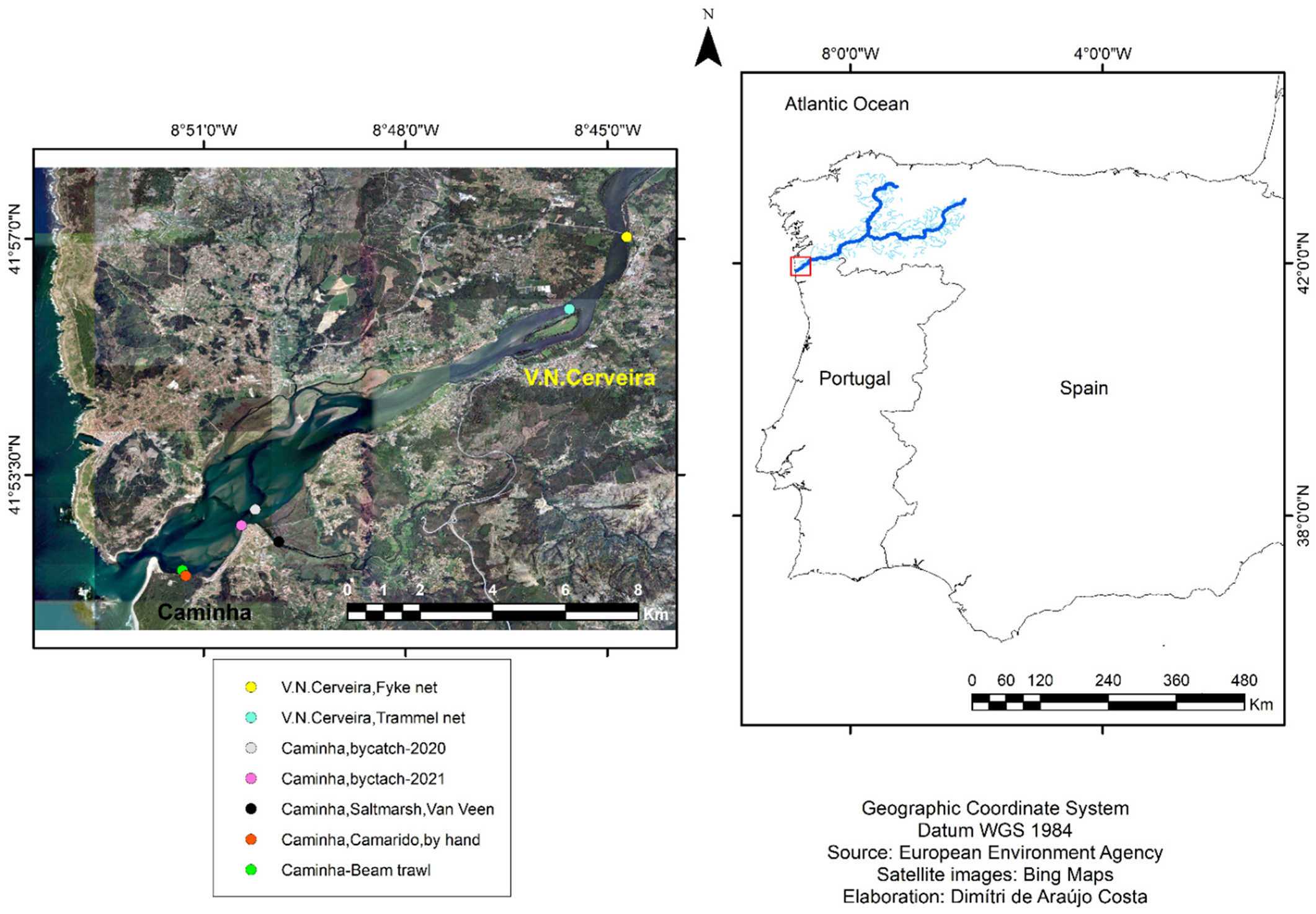 Hydrobiology | Free Full-Text | Crustaceans (Malacostraca and Thecostraca)  from the International Minho River, Iberian Peninsula