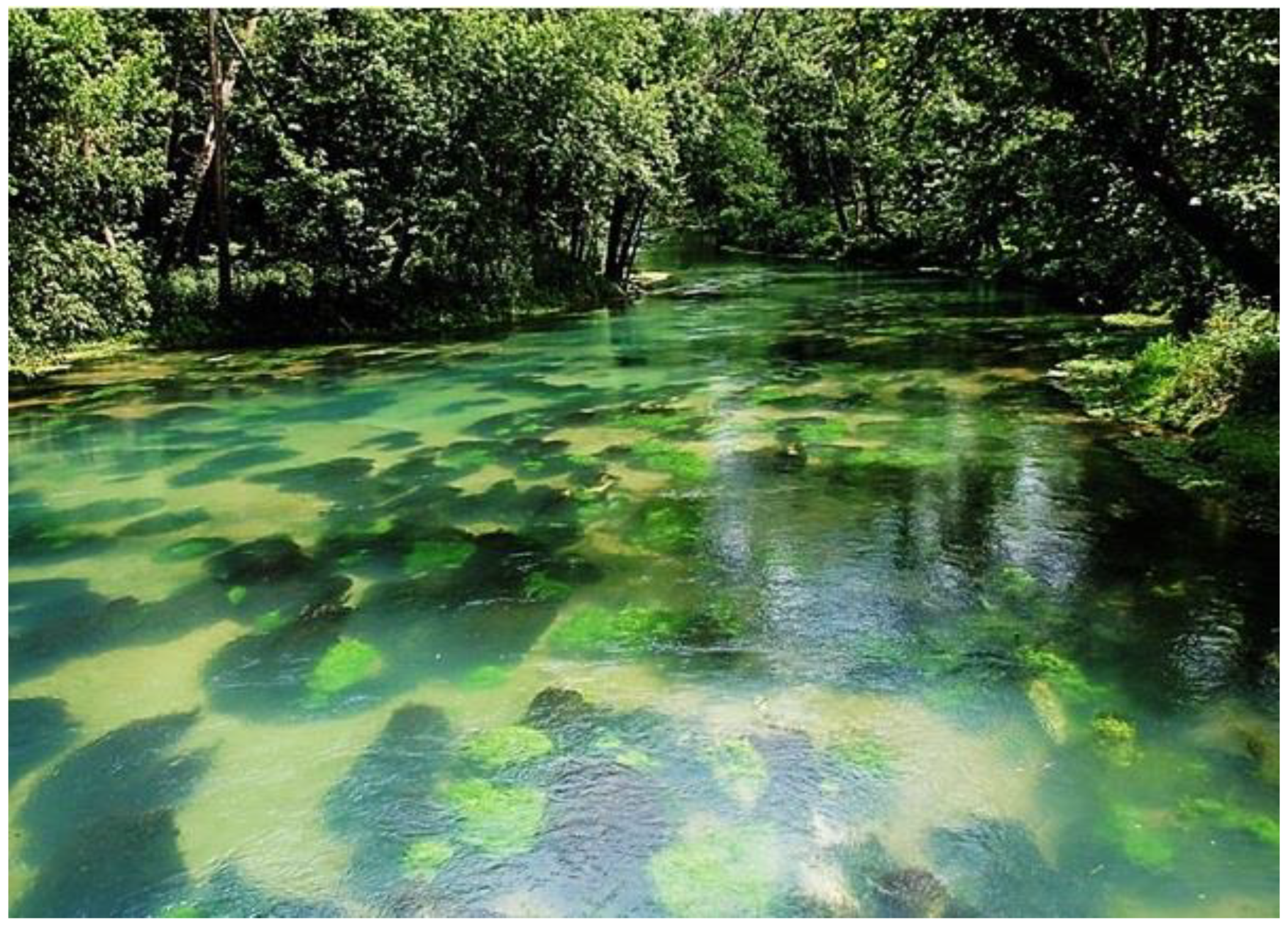 Hydrobiology Free Full Text Resiliency And Recovery Of Aquatic Vegetation Following Scouring Floods In Two First Magnitude Springs Missouri Usa Html