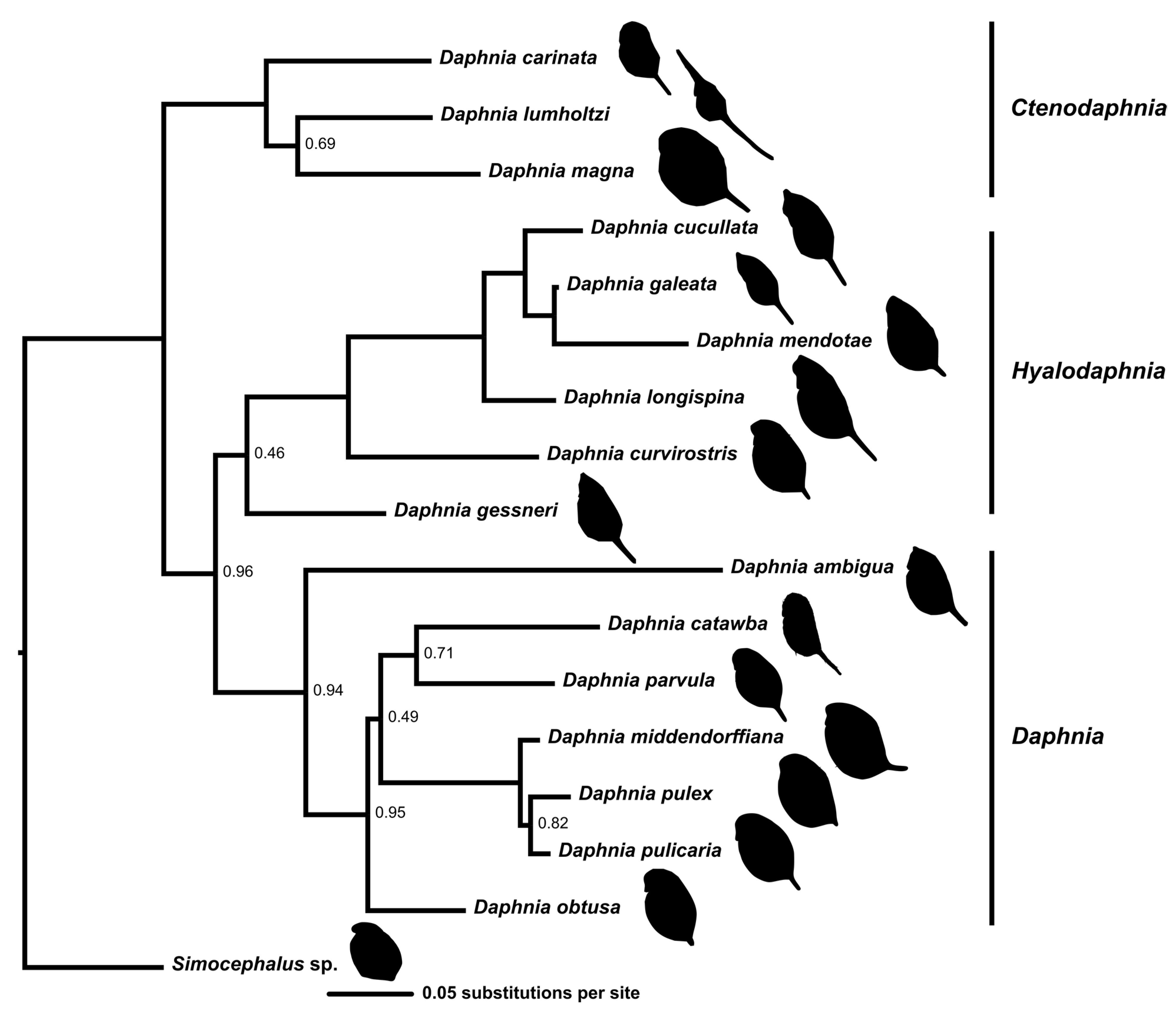 Hydrobiology 02 00005 g002 Hydrobiology 02 00005 g002