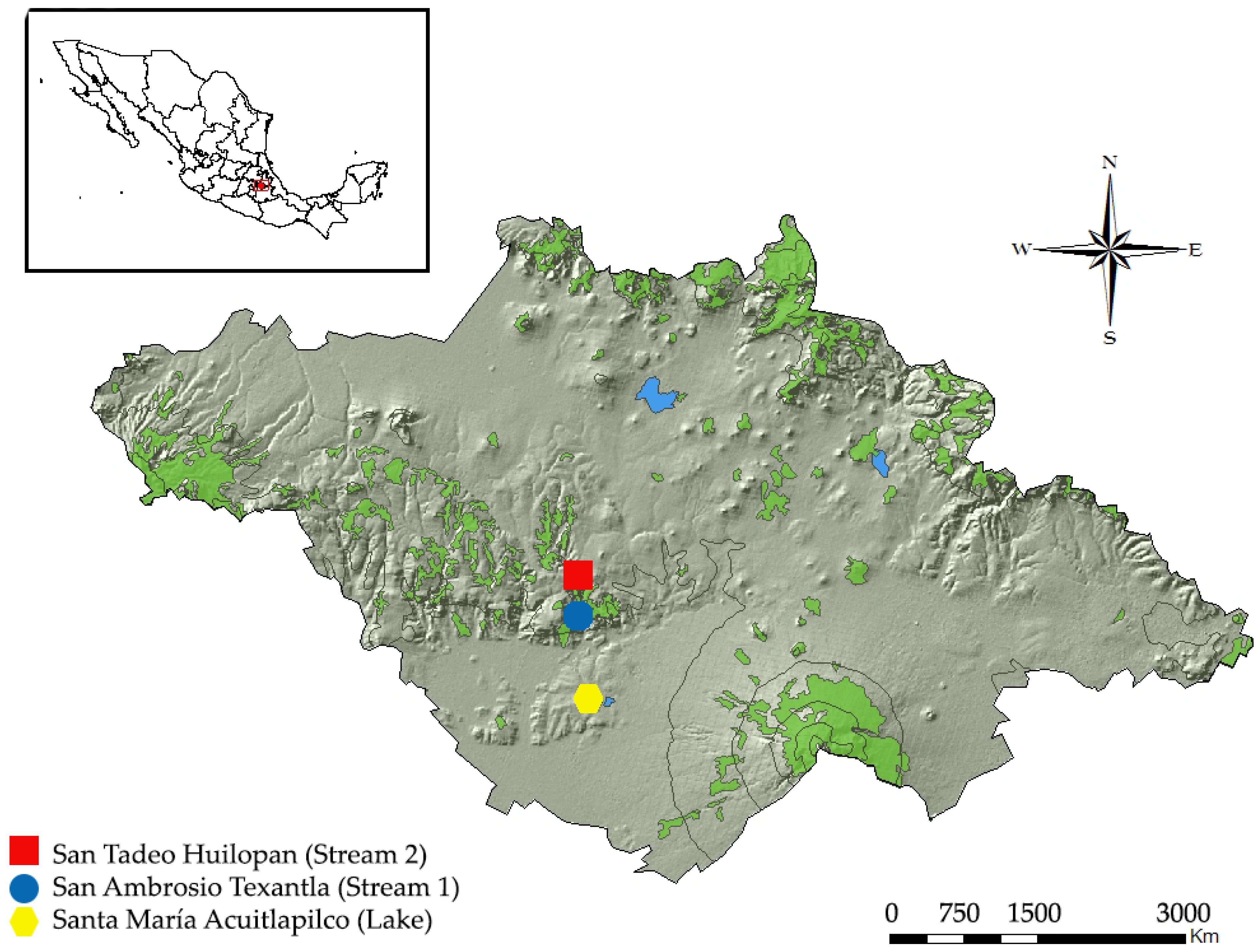 Hydrobiology | Free Full-Text | Diversity and Seasonality of Aquatic  Beetles (Coleoptera) in Three Localities of the State of Tlaxcala, Central  Mexico