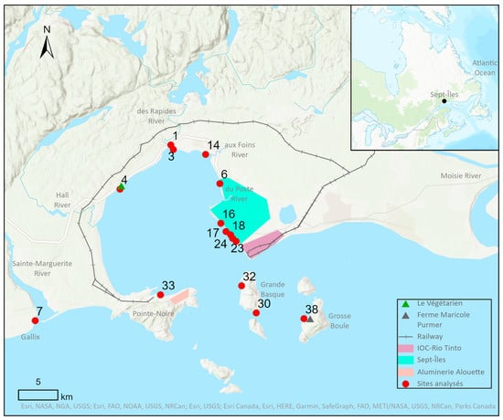 https://www.mdpi.com/hydrobiology/hydrobiology-02-00036/article_deploy/html/images/hydrobiology-02-00036-g001-550.jpg