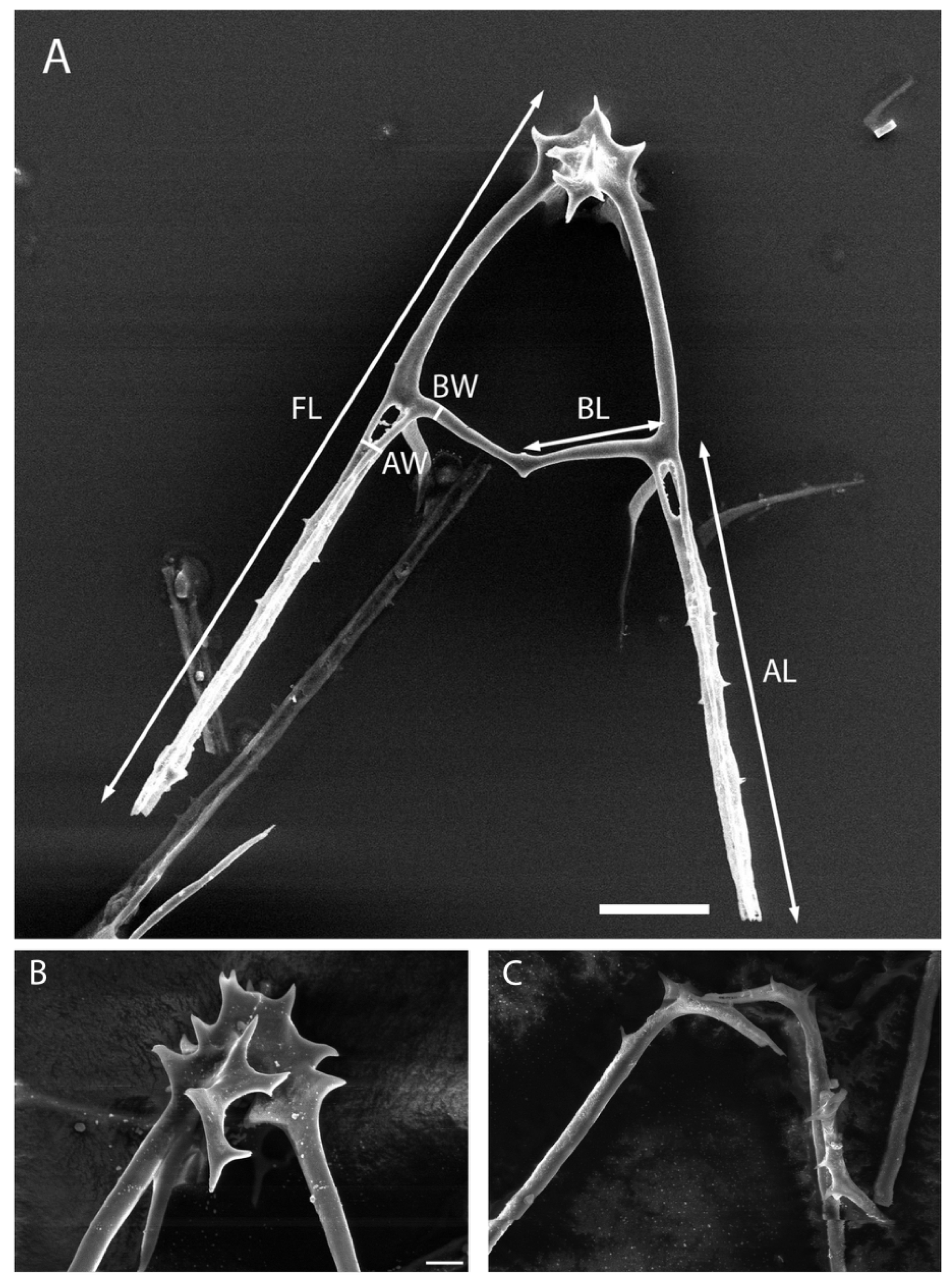 Hydrobiology 04 00005 g004