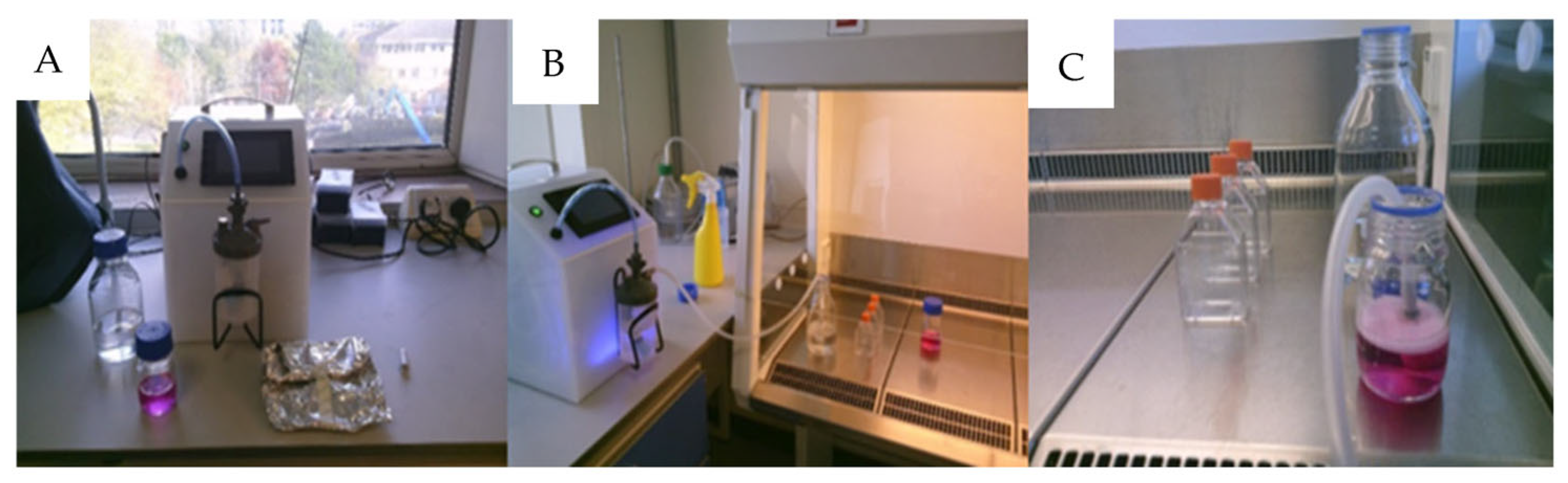 Hydrogen 04 00047 g001