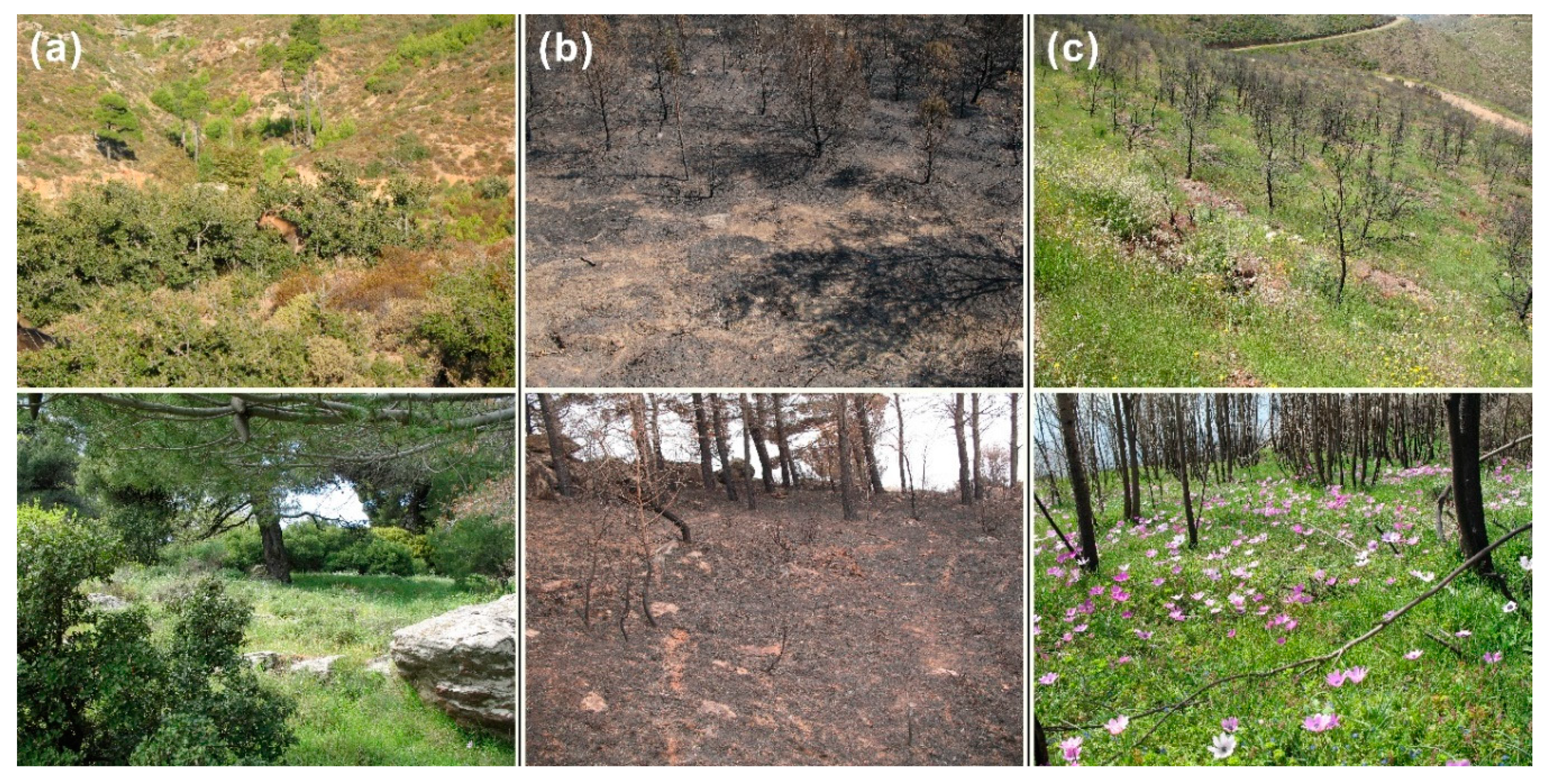 Hydrology 08 00015 g007 Hydrology 08 00015 g007
