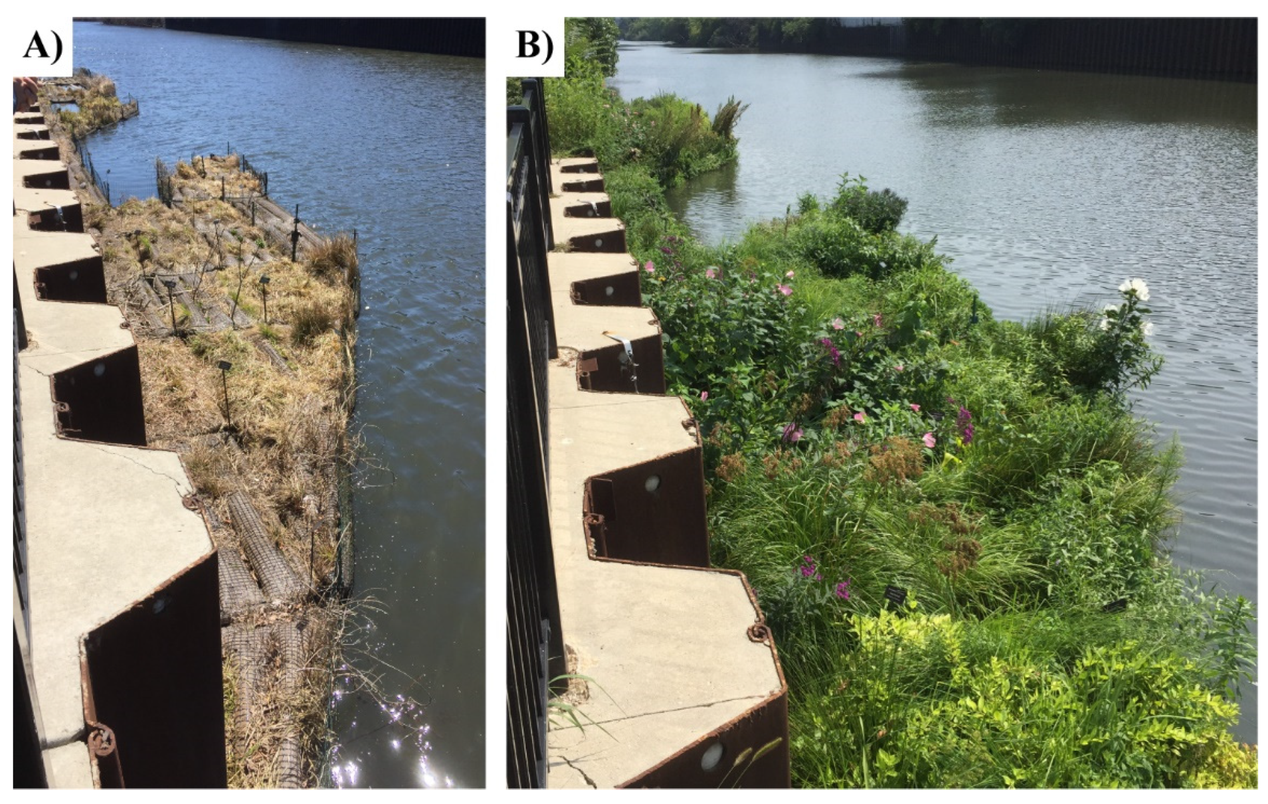 Hydrology 08 00115 g002